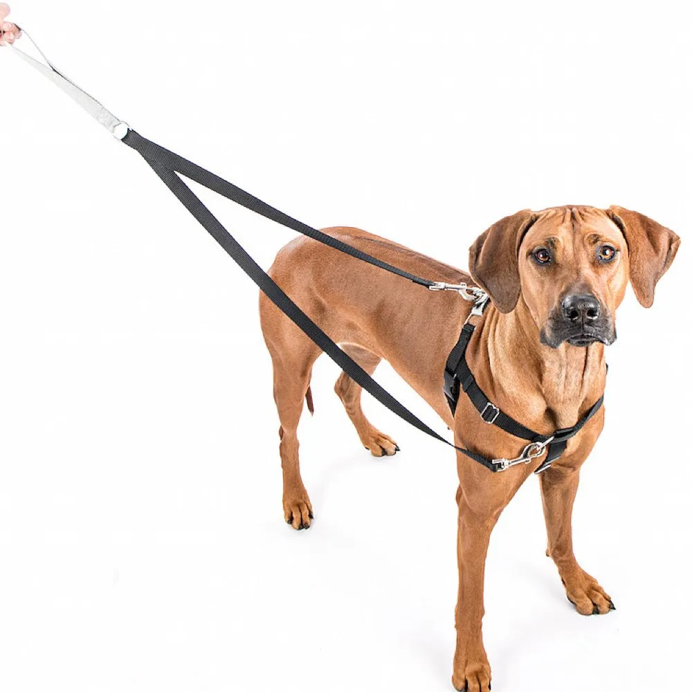 2 Hounds Design Freedom No-Pull Dog Harness & Leash - Neon Orange/Black