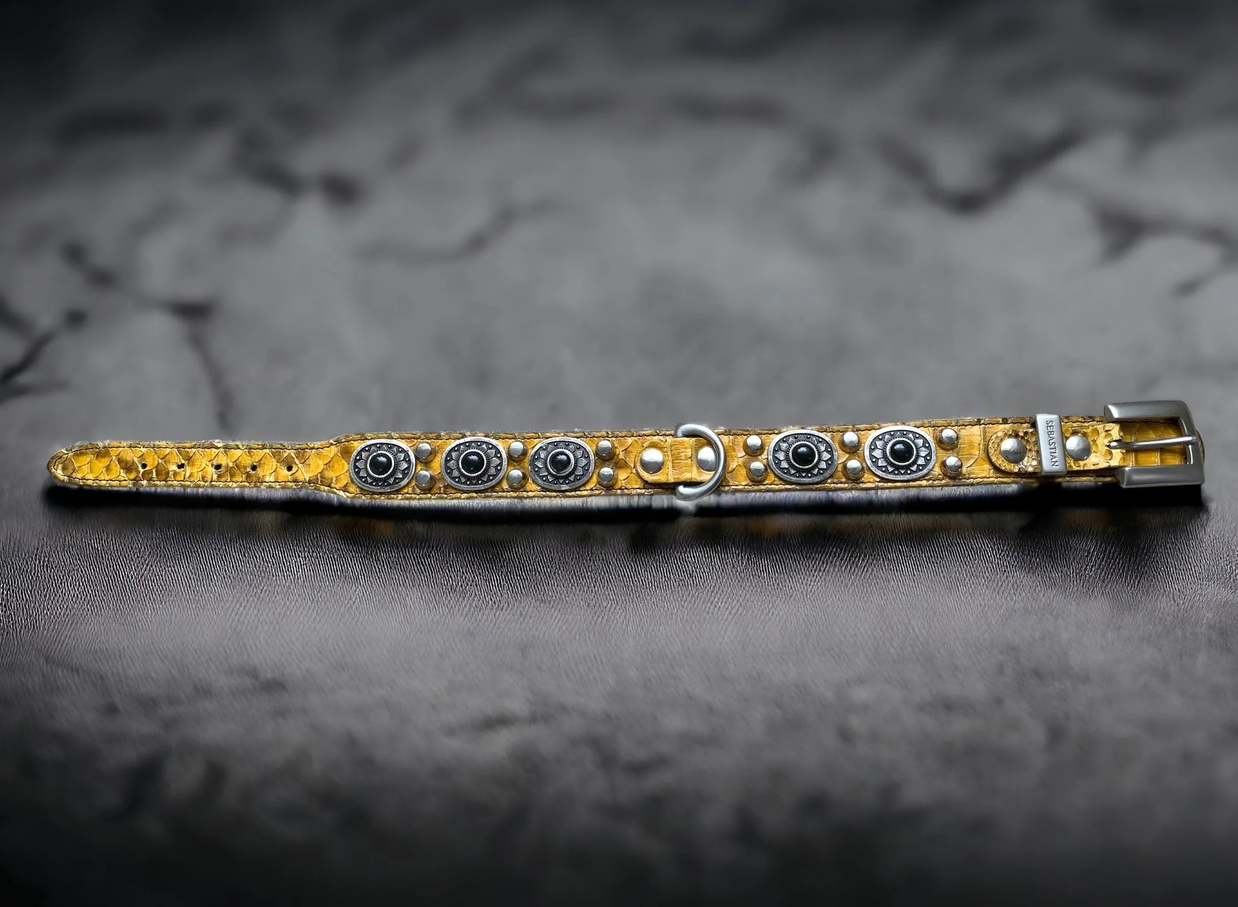 20” Black Leather Dog Collar With Yellow Snakeskin  Silver Conchos