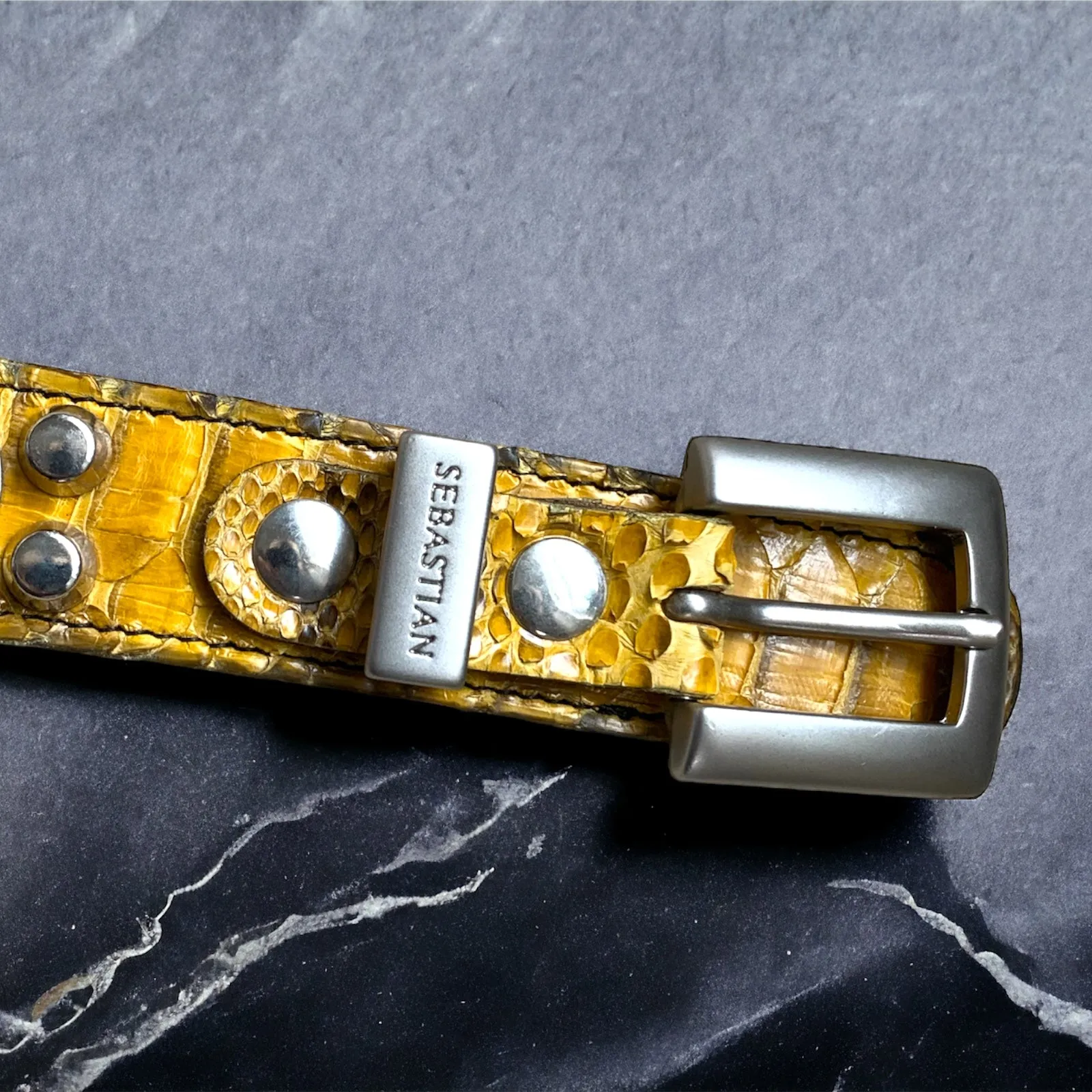 20” Black Leather Dog Collar With Yellow Snakeskin  Silver Conchos