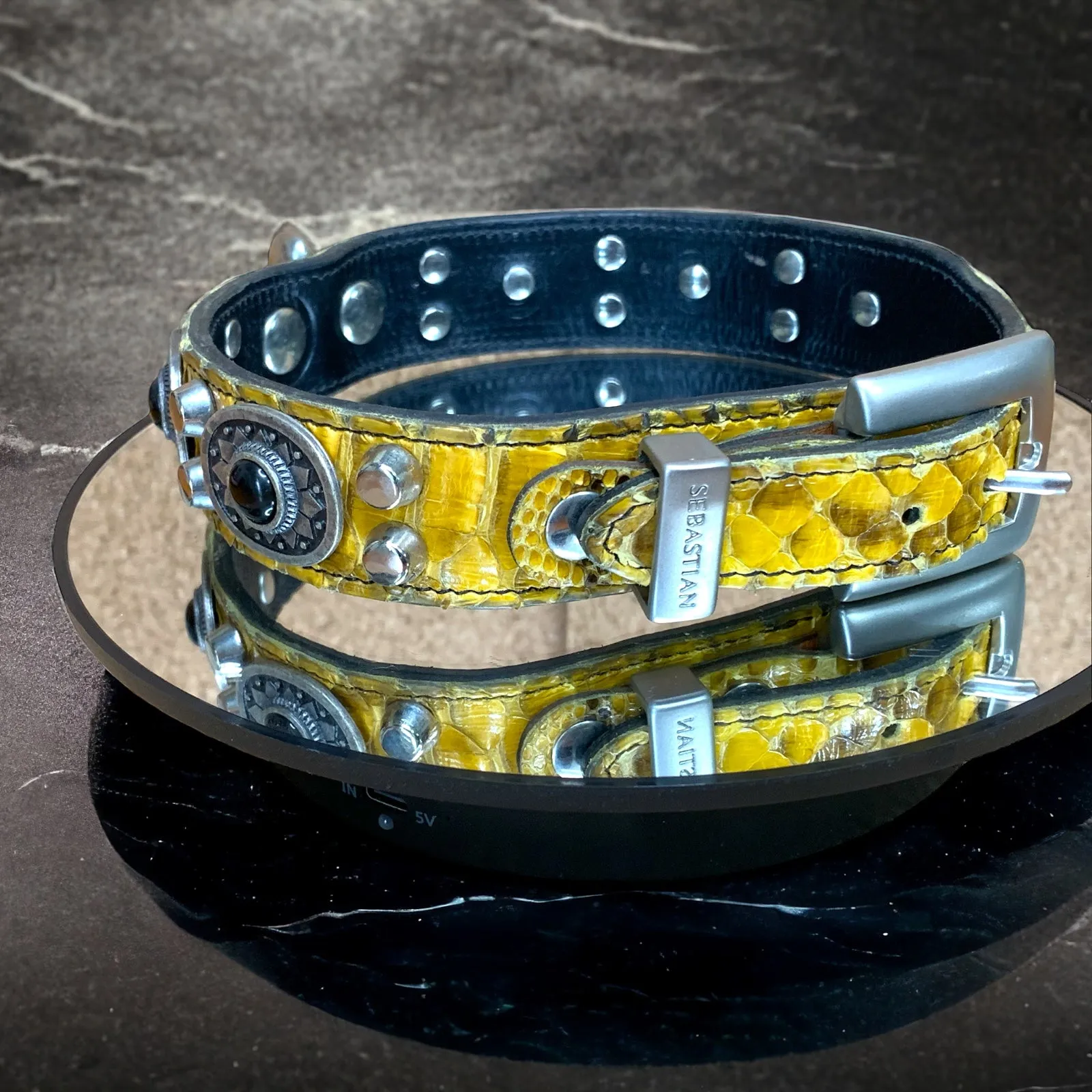 20” Black Leather Dog Collar With Yellow Snakeskin  Silver Conchos