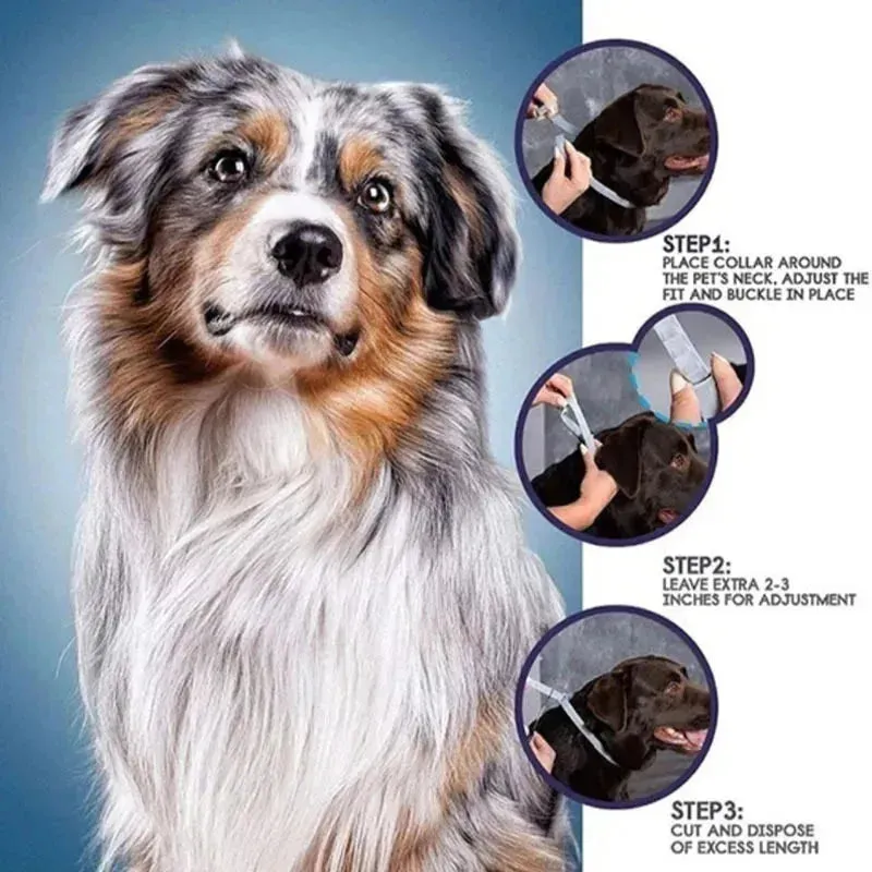 Adjustable Anti-Flea & Tick Collar for Dogs & Cats - 8 Month Protection