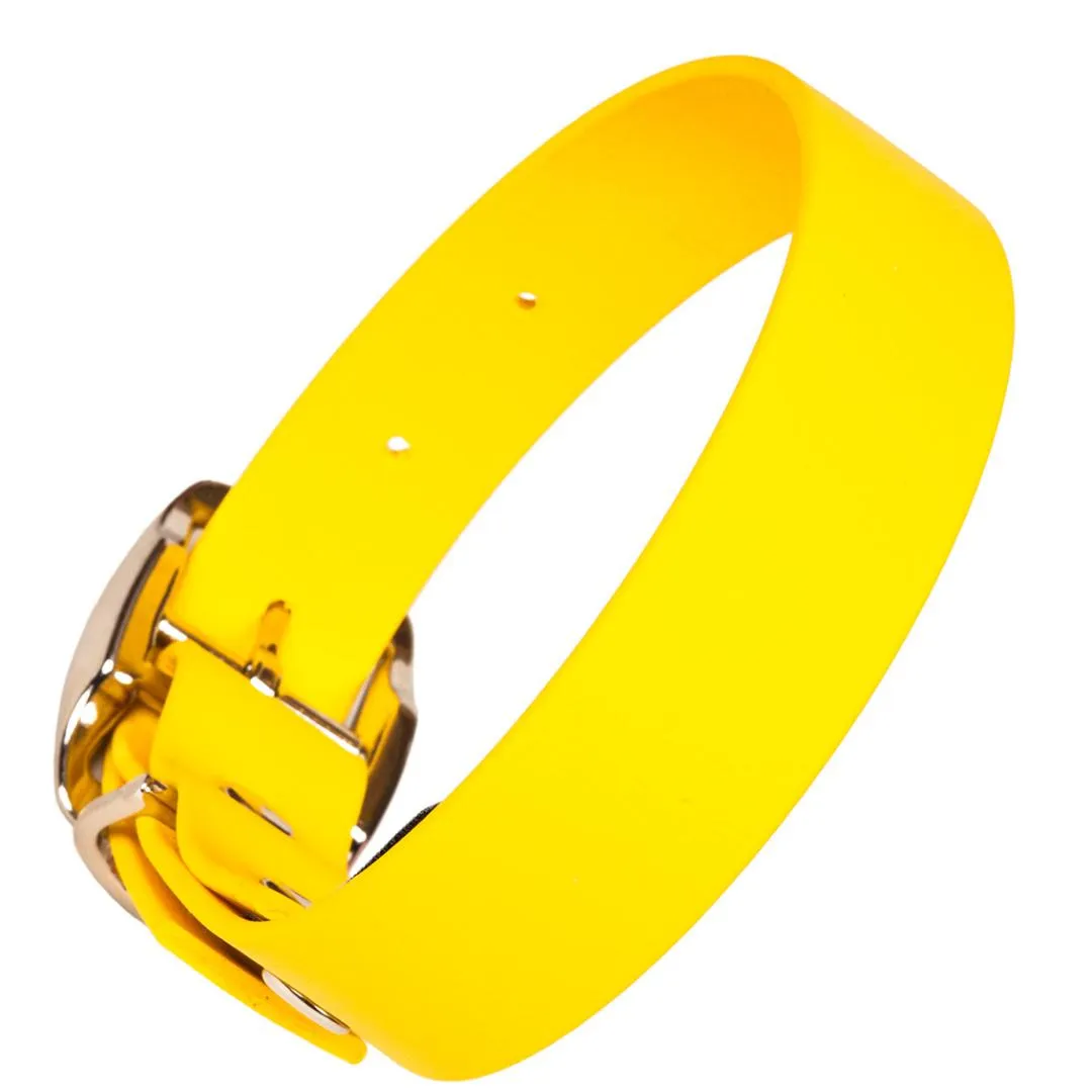 Bright Biothane Vegan Leather Dog Collars