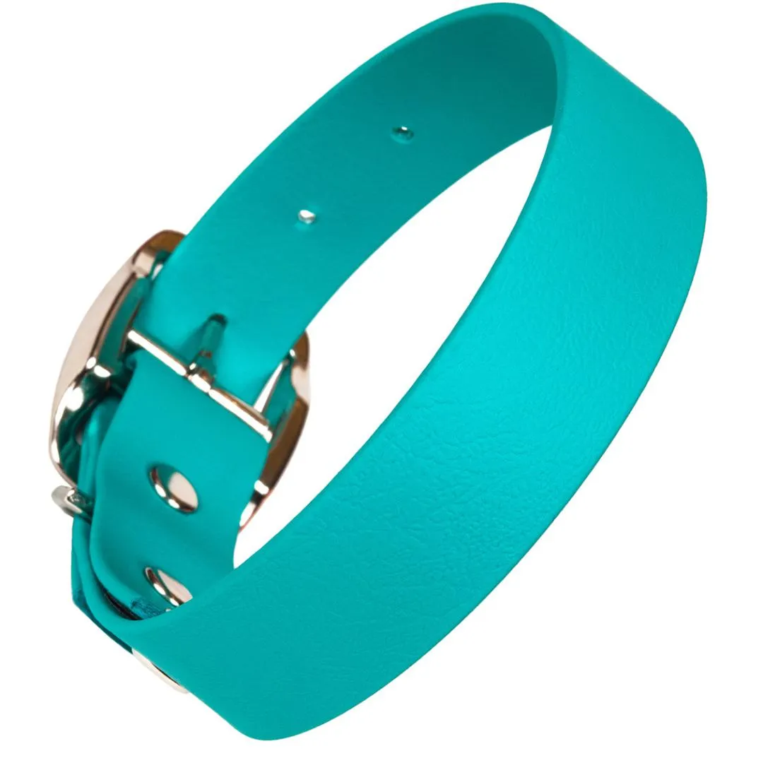 Bright Biothane Vegan Leather Dog Collars