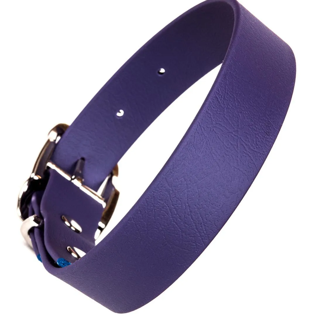 Bright Biothane Vegan Leather Dog Collars
