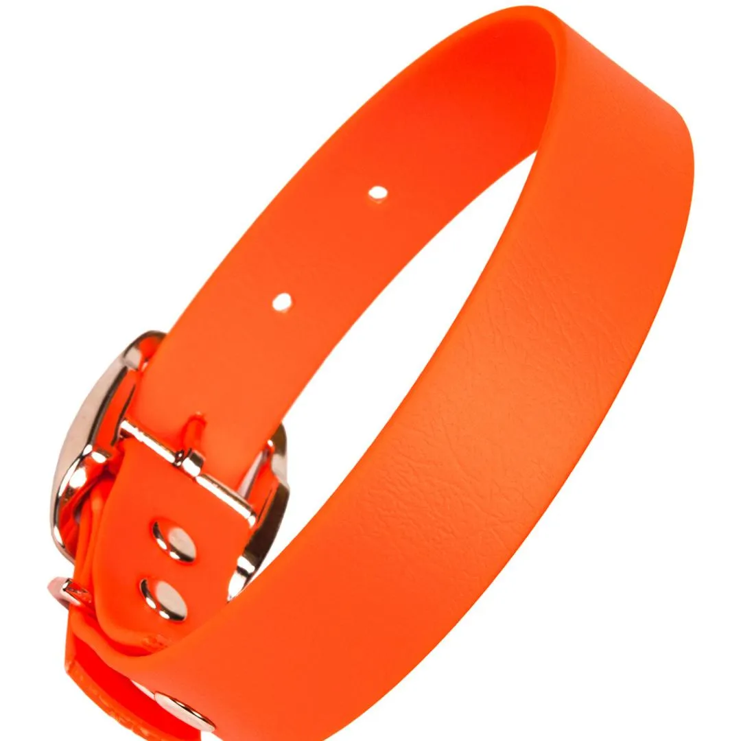 Bright Biothane Vegan Leather Dog Collars