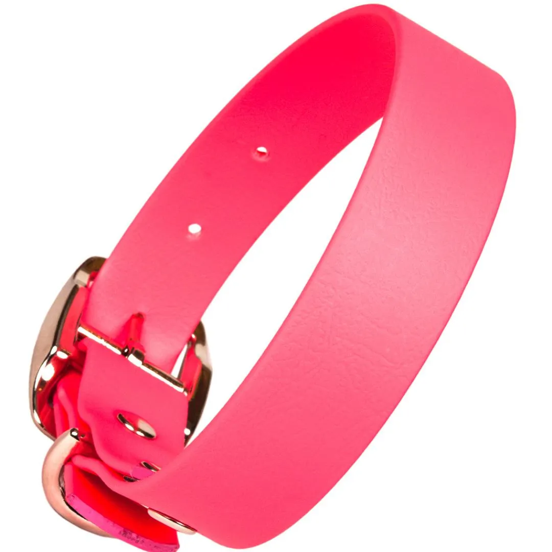 Bright Biothane Vegan Leather Dog Collars