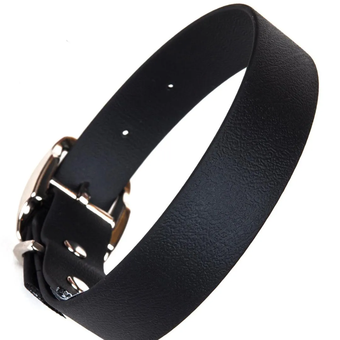 Bright Biothane Vegan Leather Dog Collars