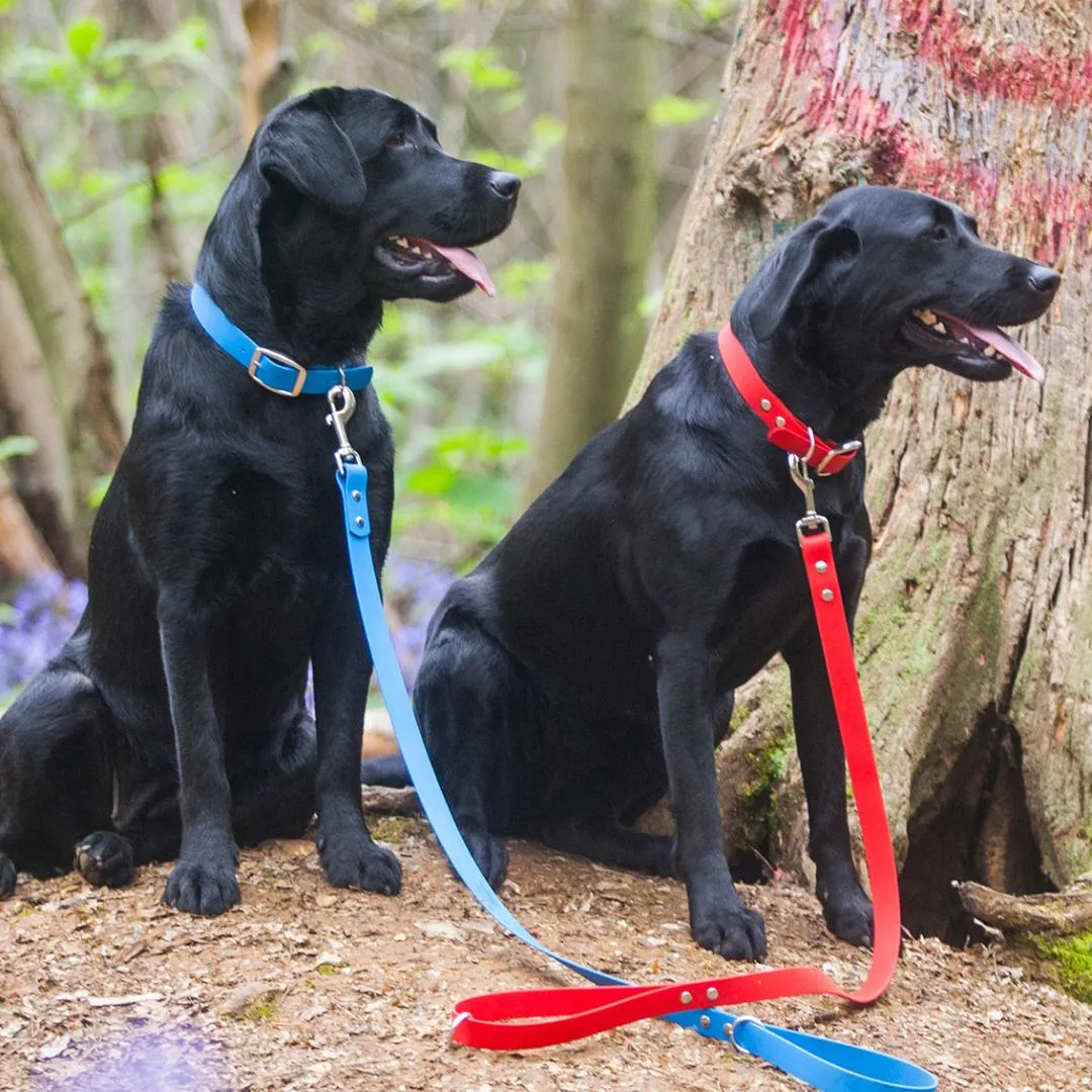 Bright Biothane Vegan Leather Dog Collars