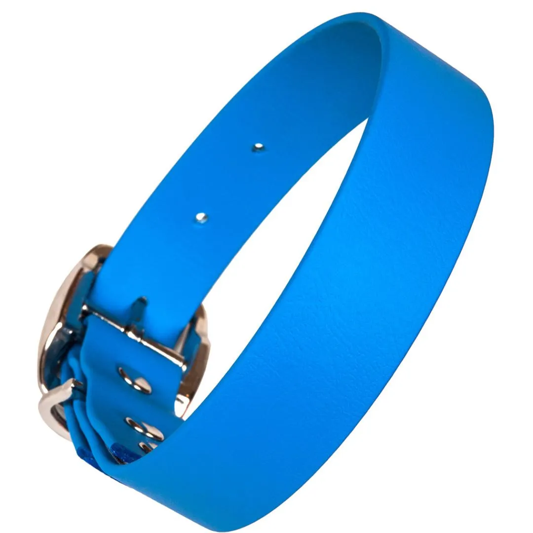 Bright Biothane Vegan Leather Dog Collars