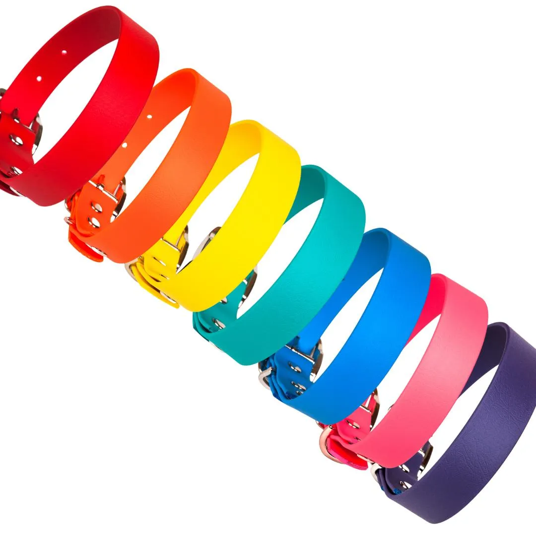 Bright Biothane Vegan Leather Dog Collars