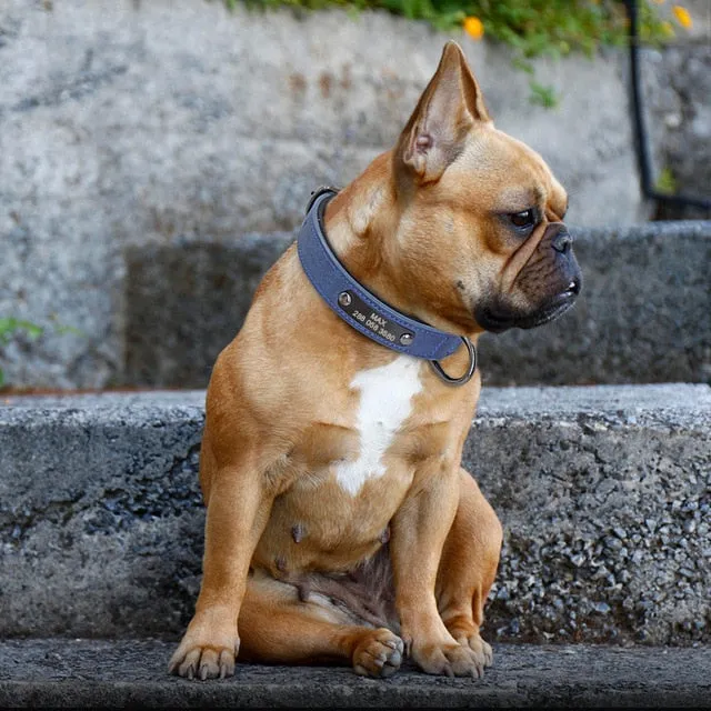 Custom Leather Personalized Small Dogs Collar Engraved