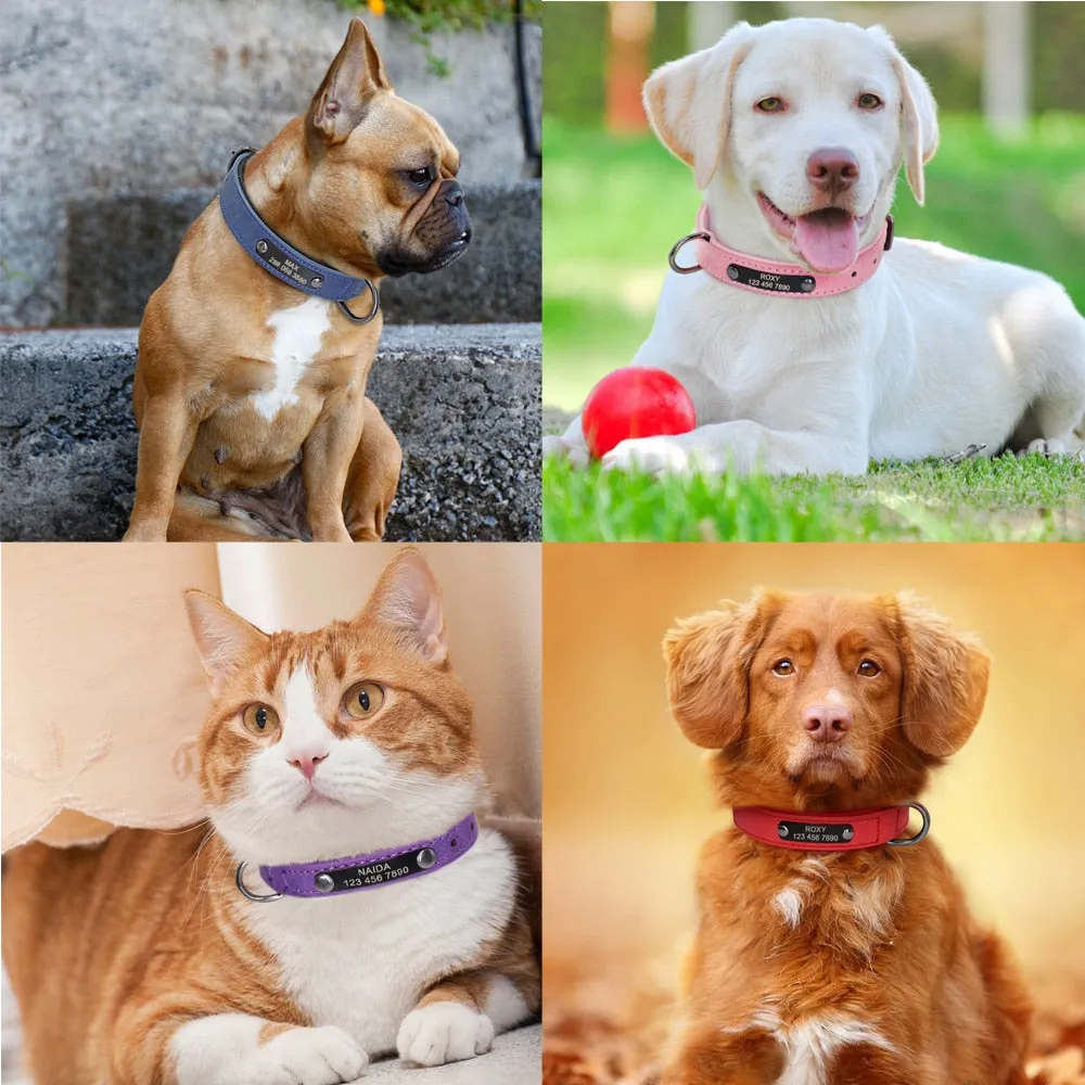Custom Leather Personalized Small Dogs Collar Engraved