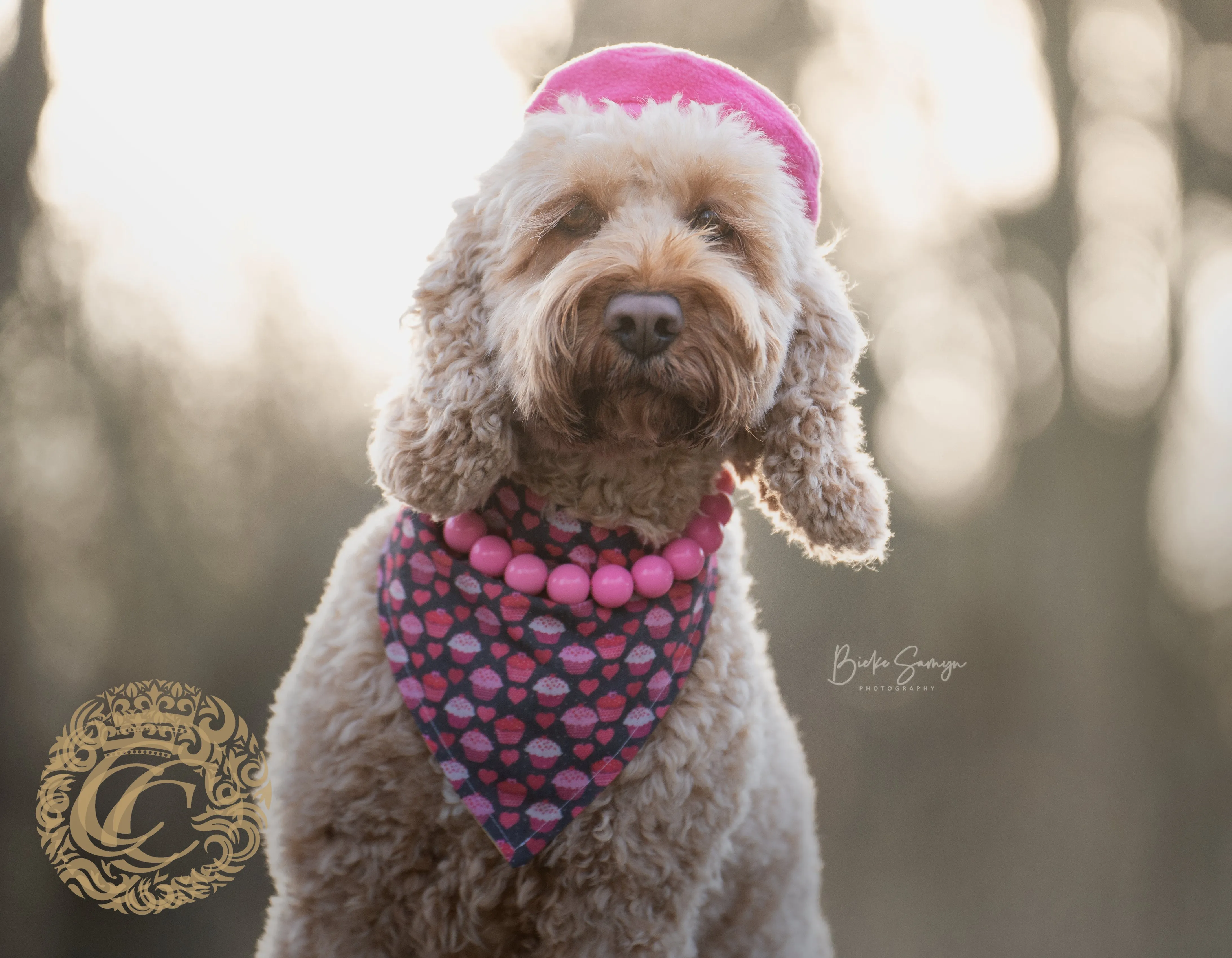 Dog collar Vivid Pink Maxi