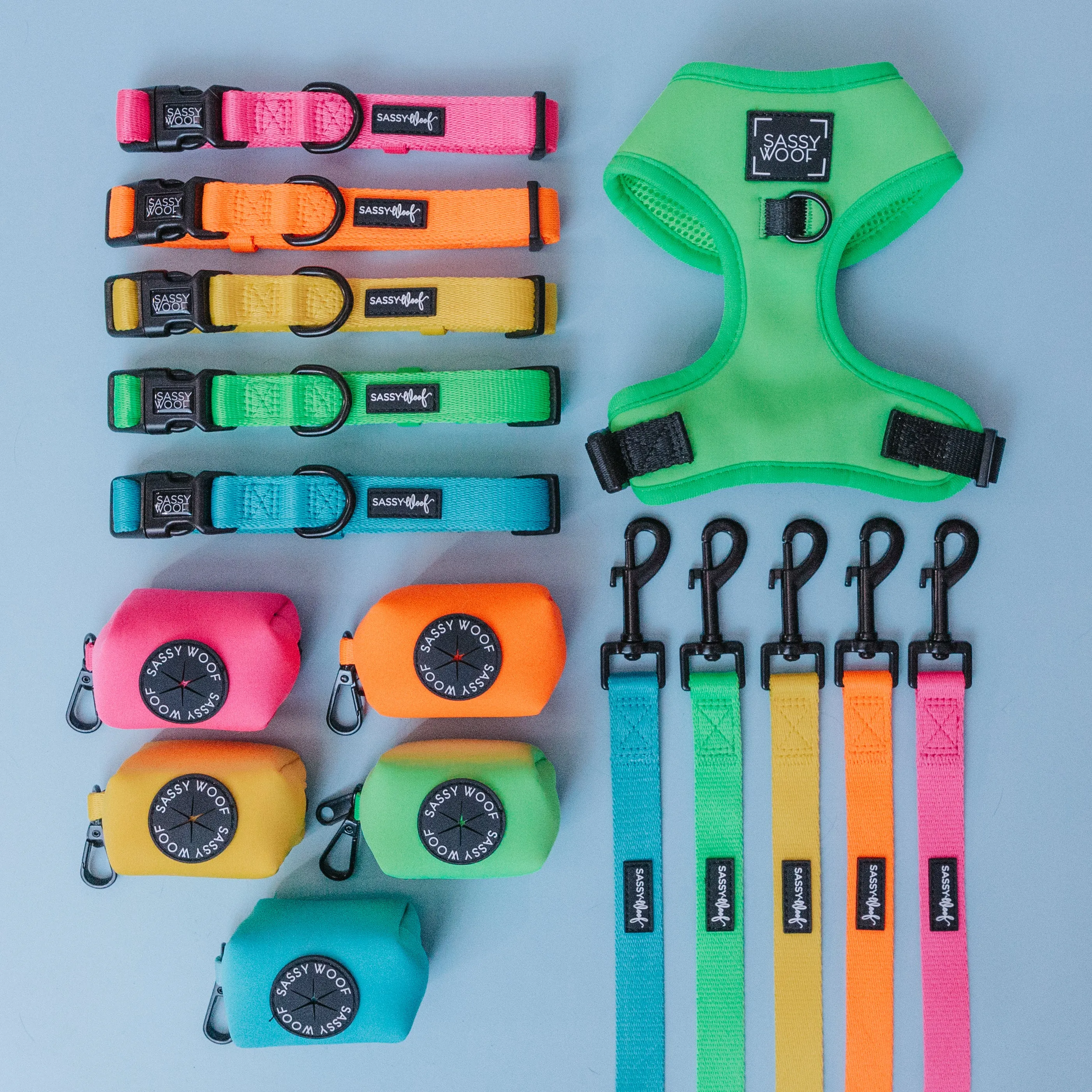 Dog Four Piece Bundle - Neon Green