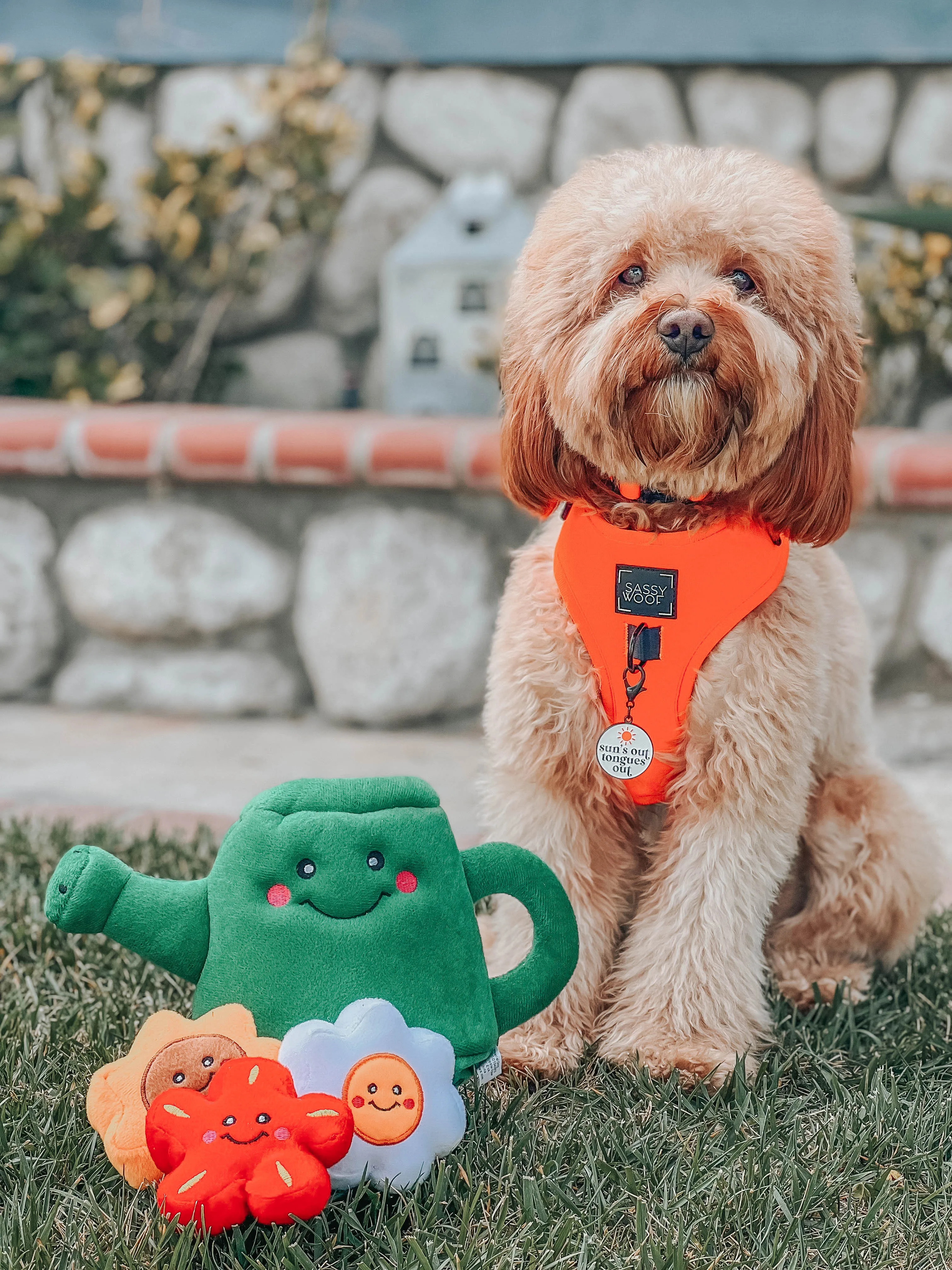 Dog Four Piece Bundle - Neon Orange
