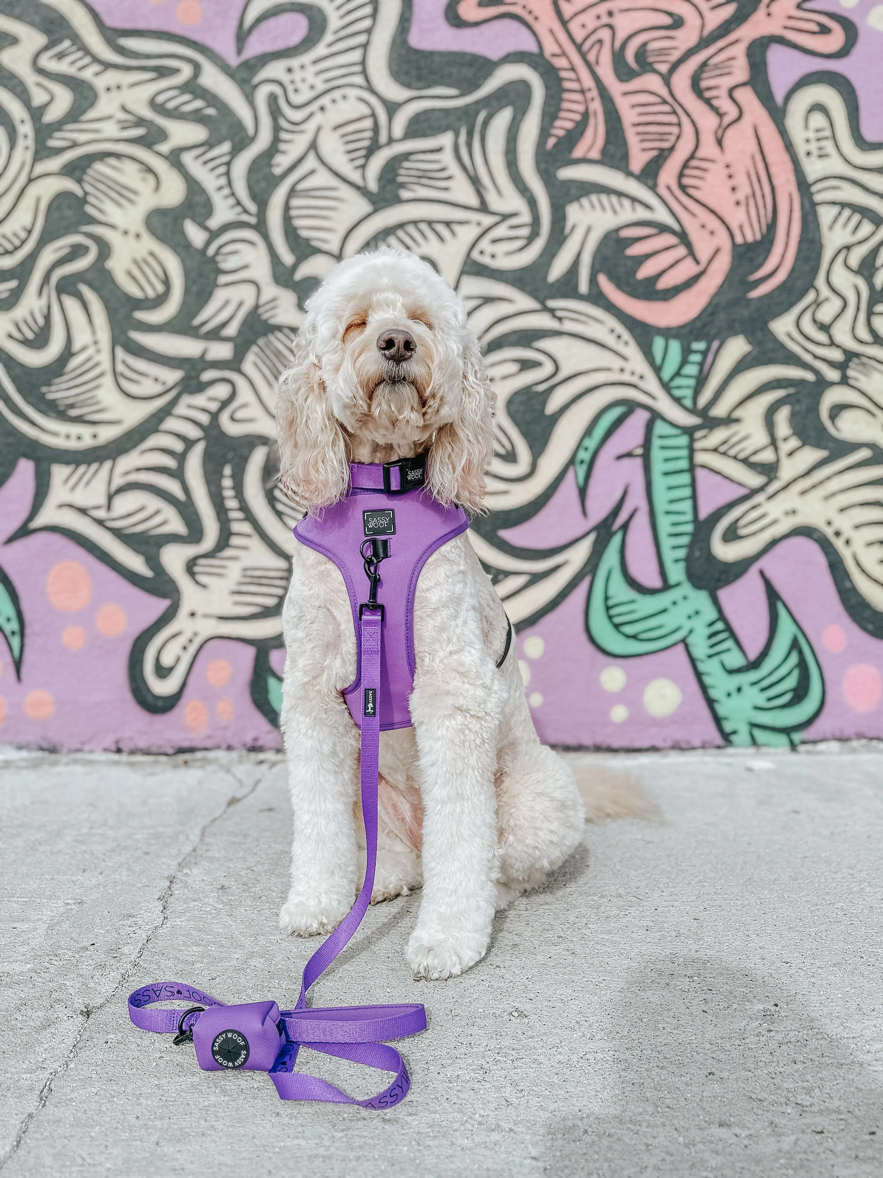 Dog Four Piece Bundle - Neon Purple