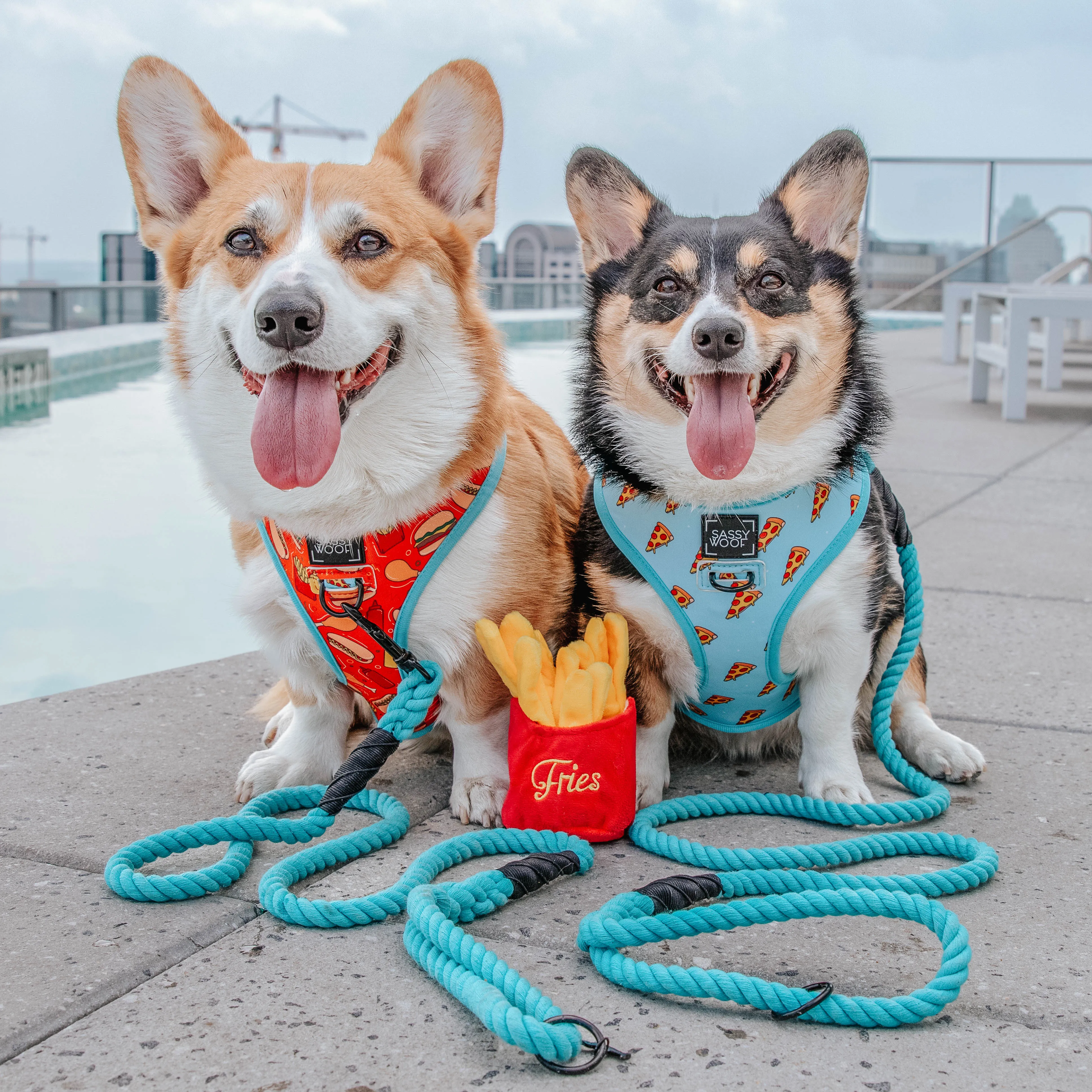 Dog Rope Leash - Neon Blue