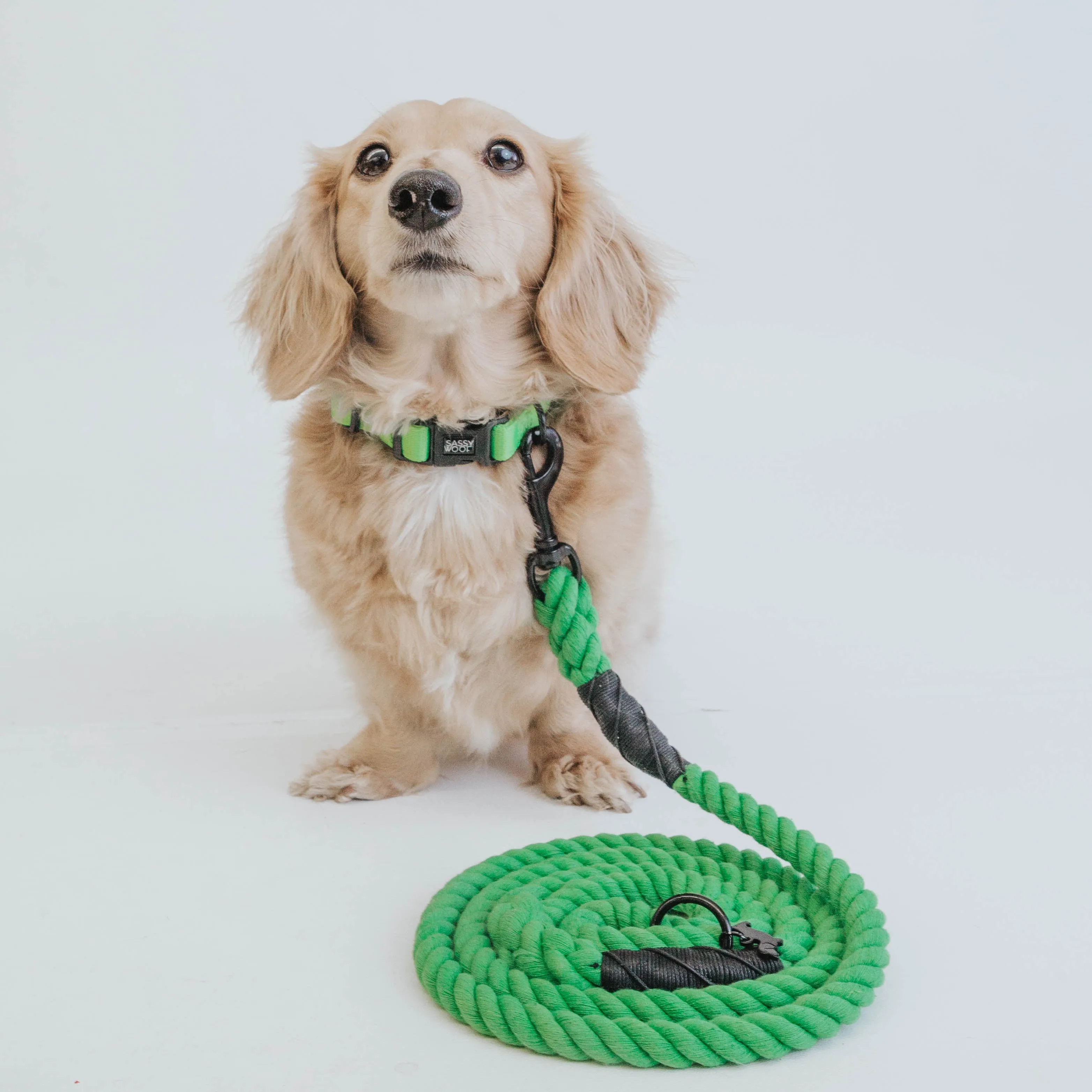 Dog Rope Leash - Neon Green
