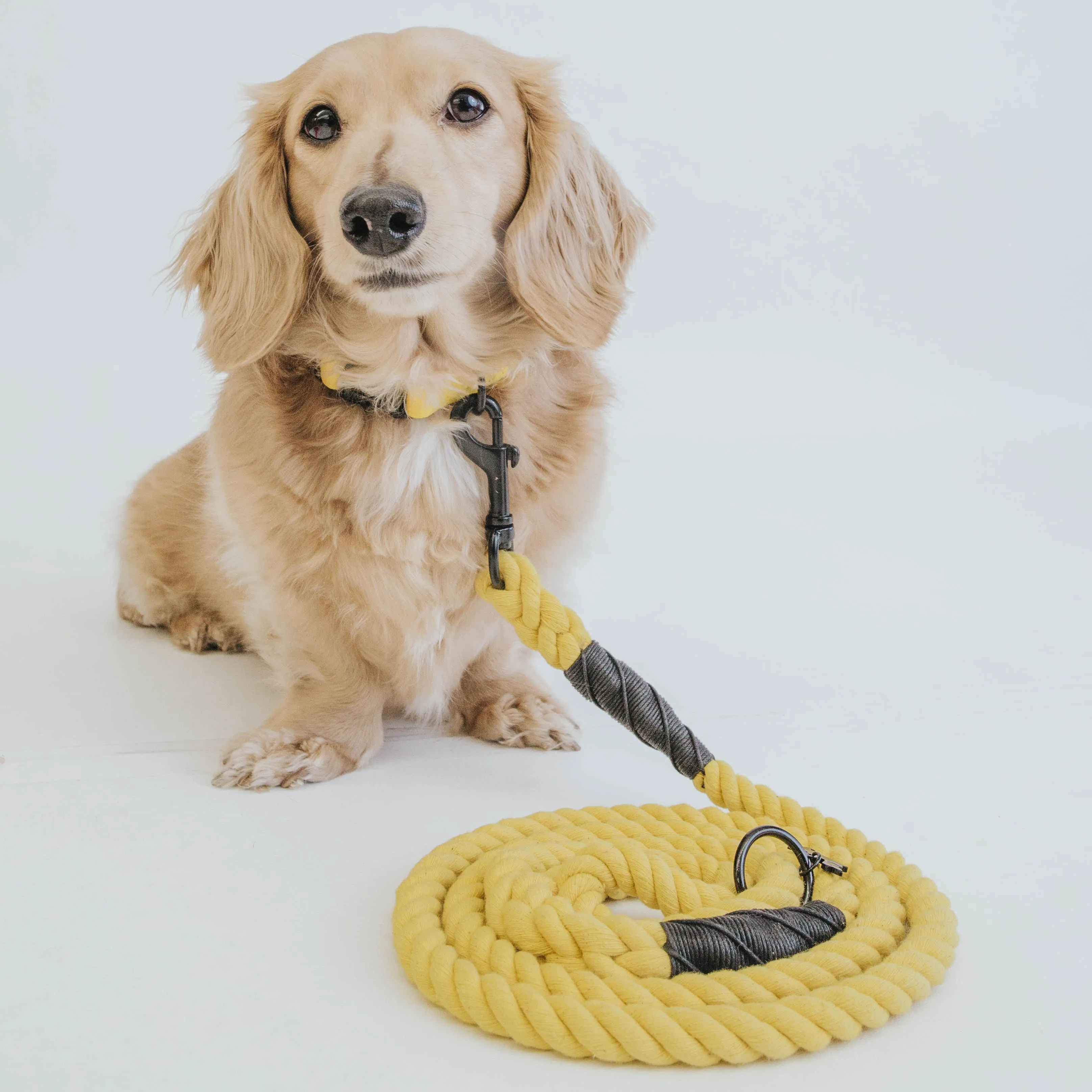 Dog Rope Leash - Neon Yellow