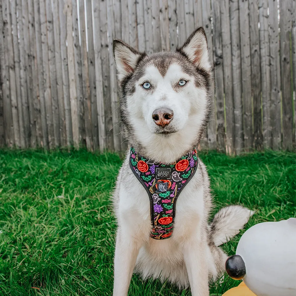 Dog Two Piece Bundle - Neon Frights