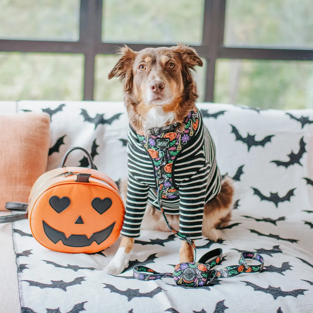 Dog Two Piece Bundle - Neon Frights
