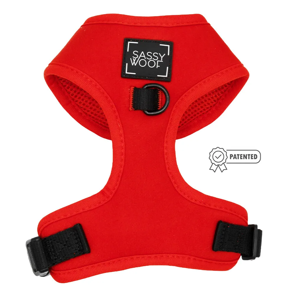 Dog Two Piece Bundle - Neon Red