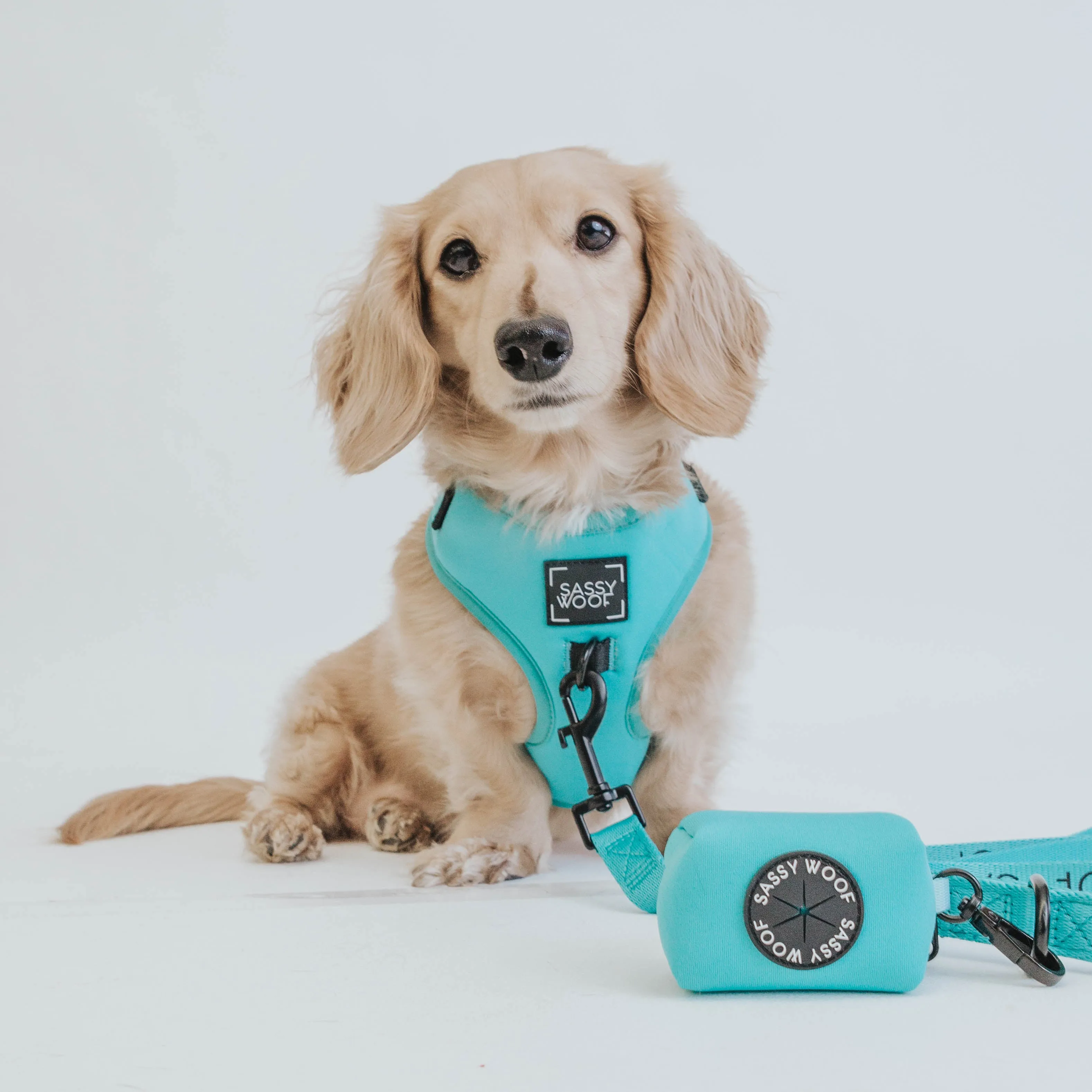 Dog Waste Bag Holder - Neon Blue