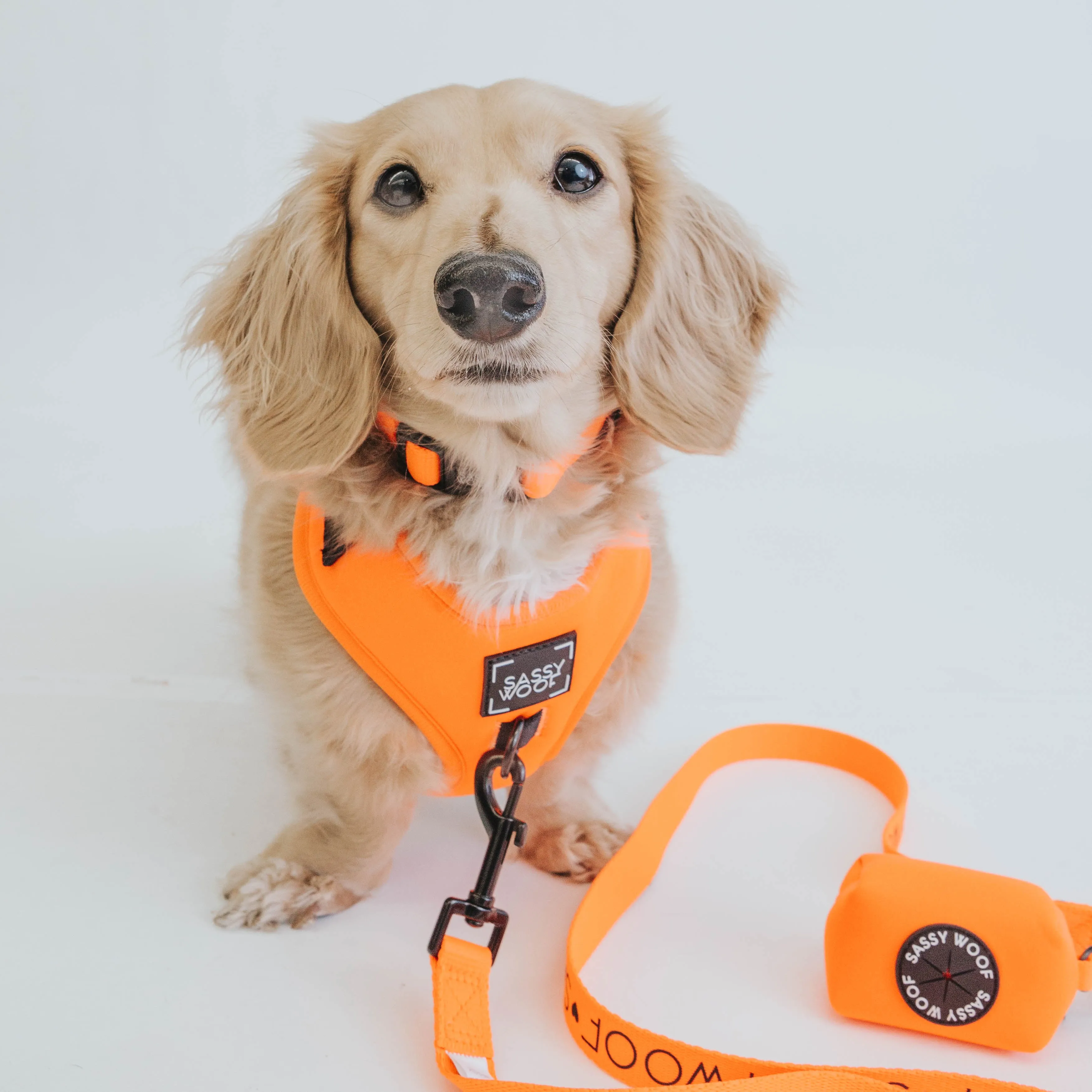 Dog Waste Bag Holder - Neon Orange