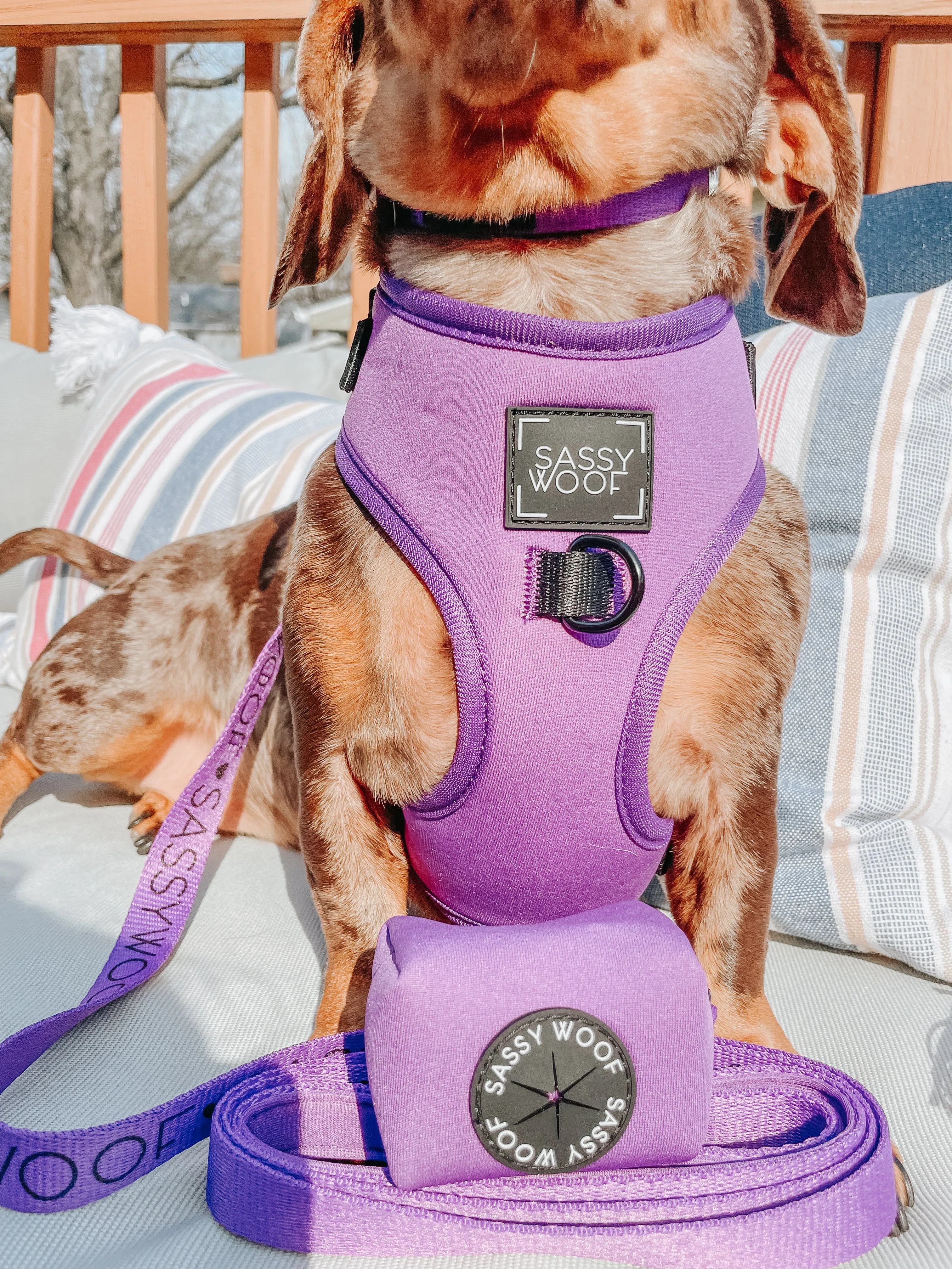 Dog Waste Bag Holder - Neon Purple