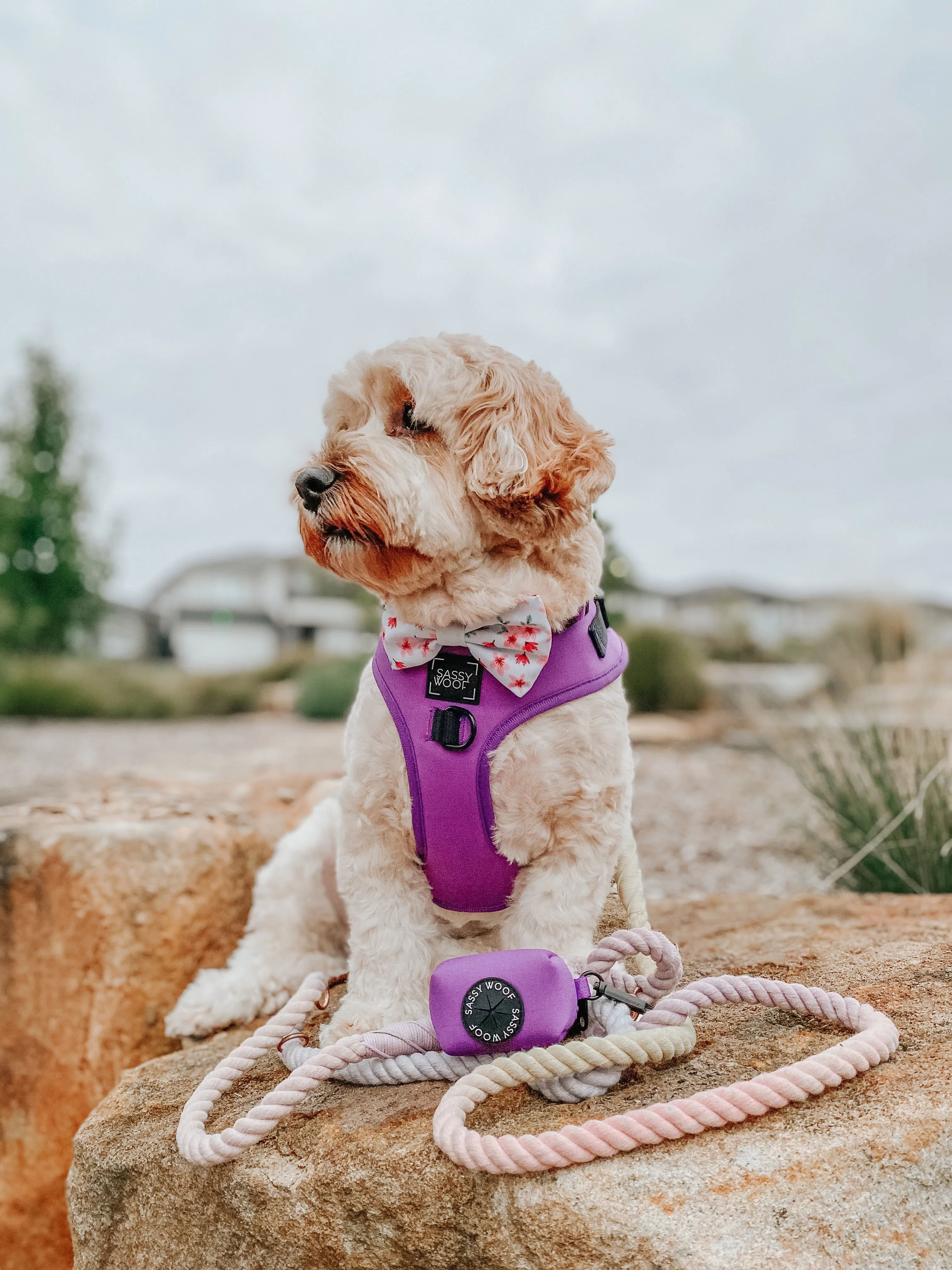Dog Waste Bag Holder - Neon Purple