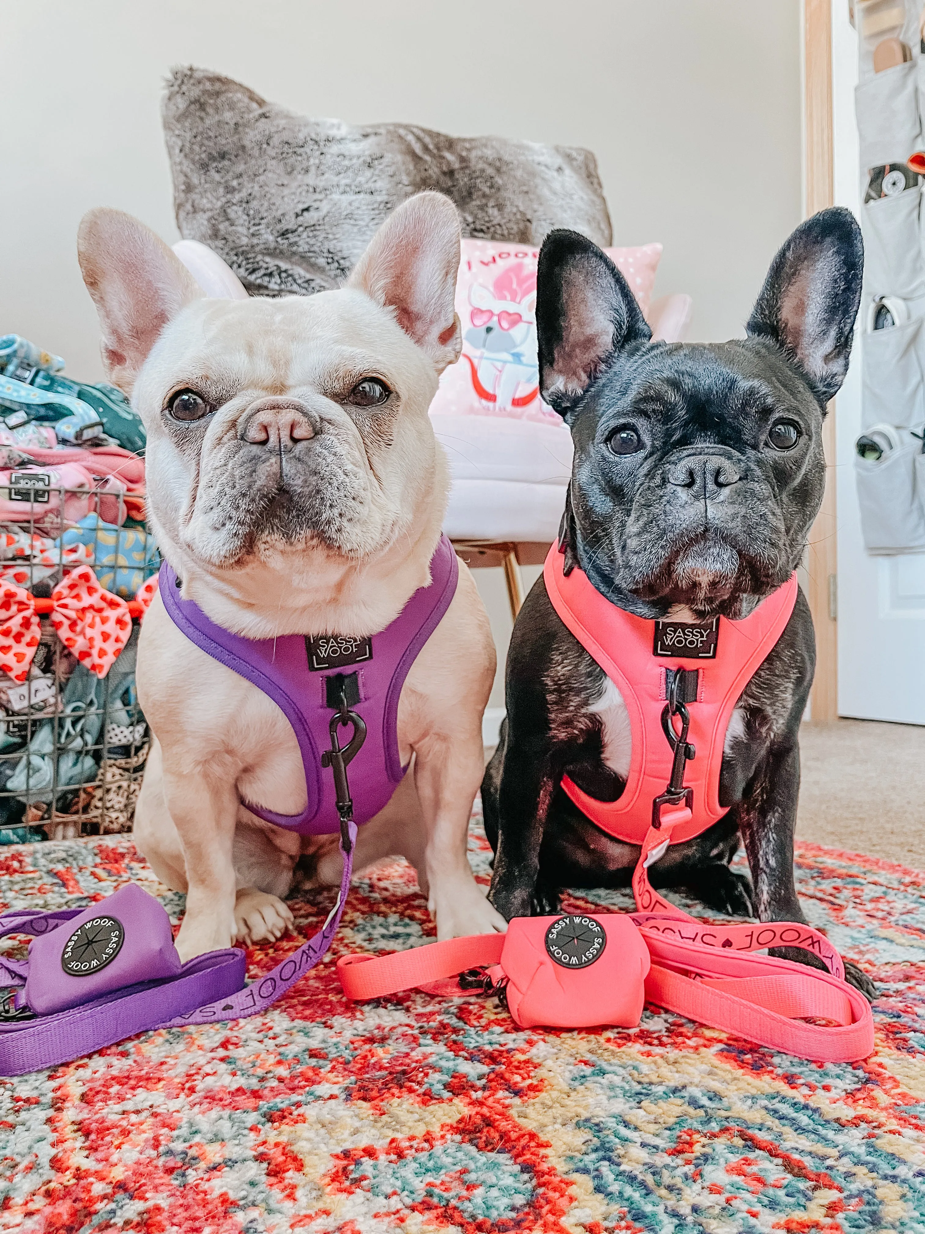 Dog Waste Bag Holder - Neon Purple