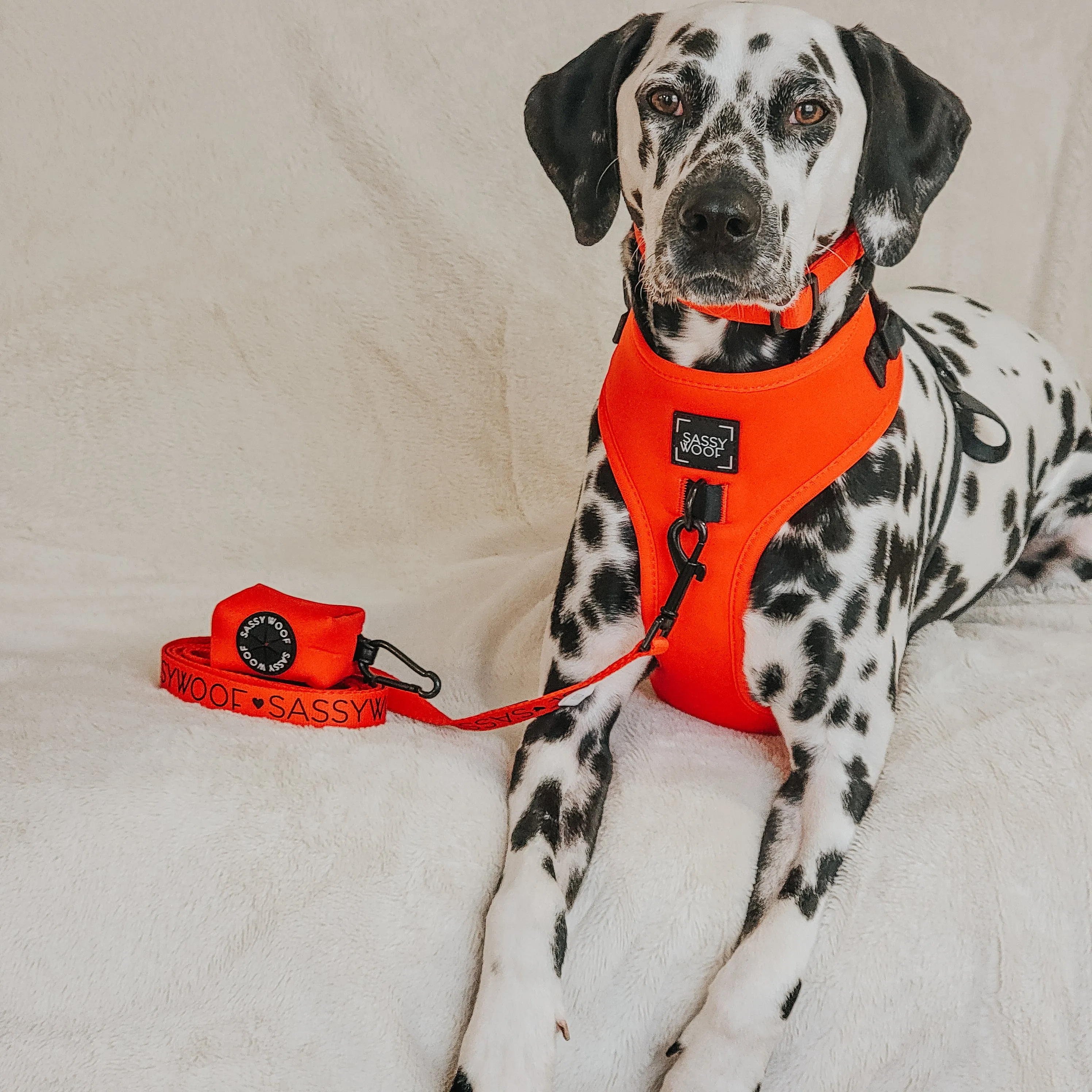Dog Waste Bag Holder - Neon Red