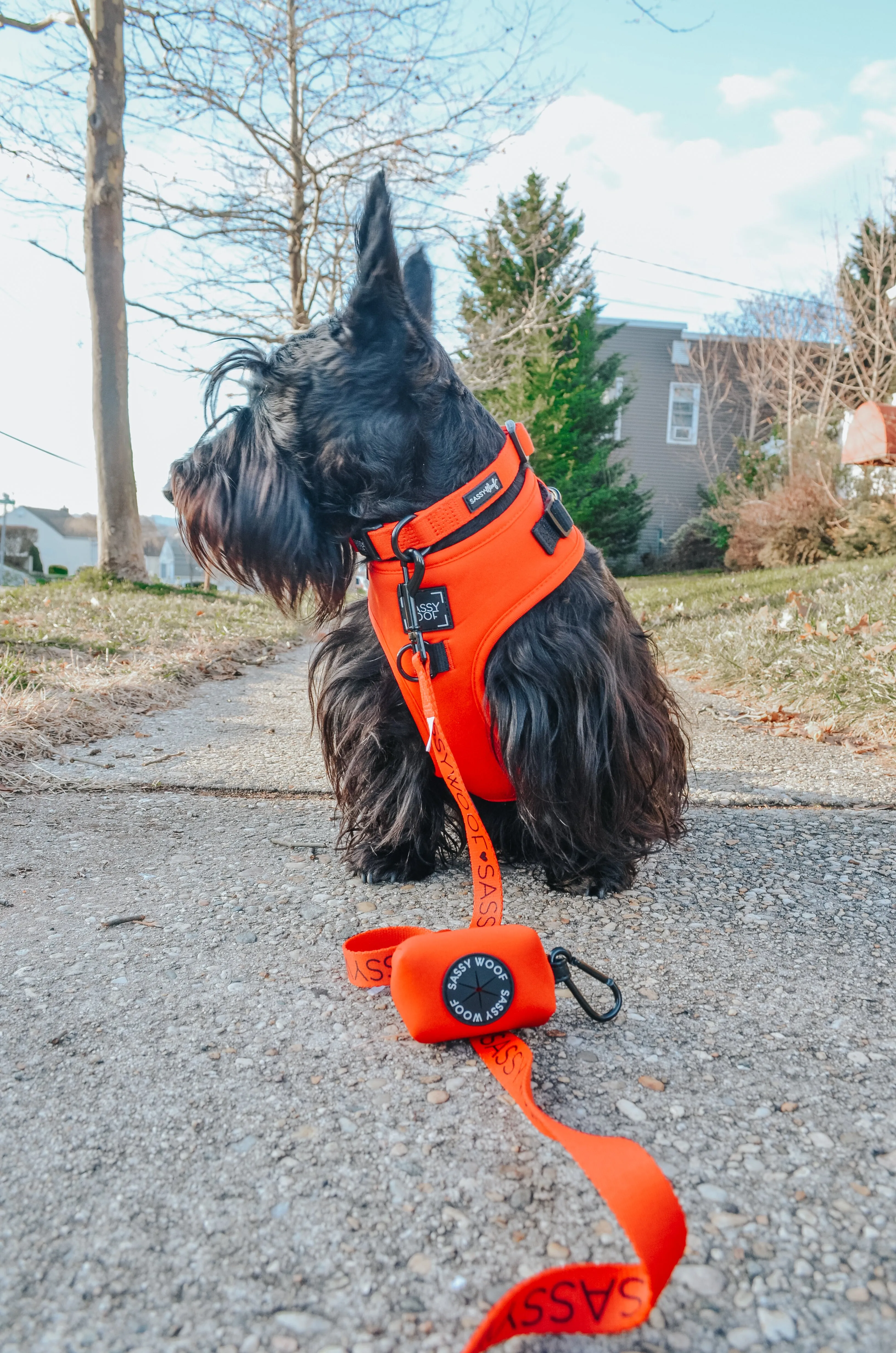 Dog Waste Bag Holder - Neon Red