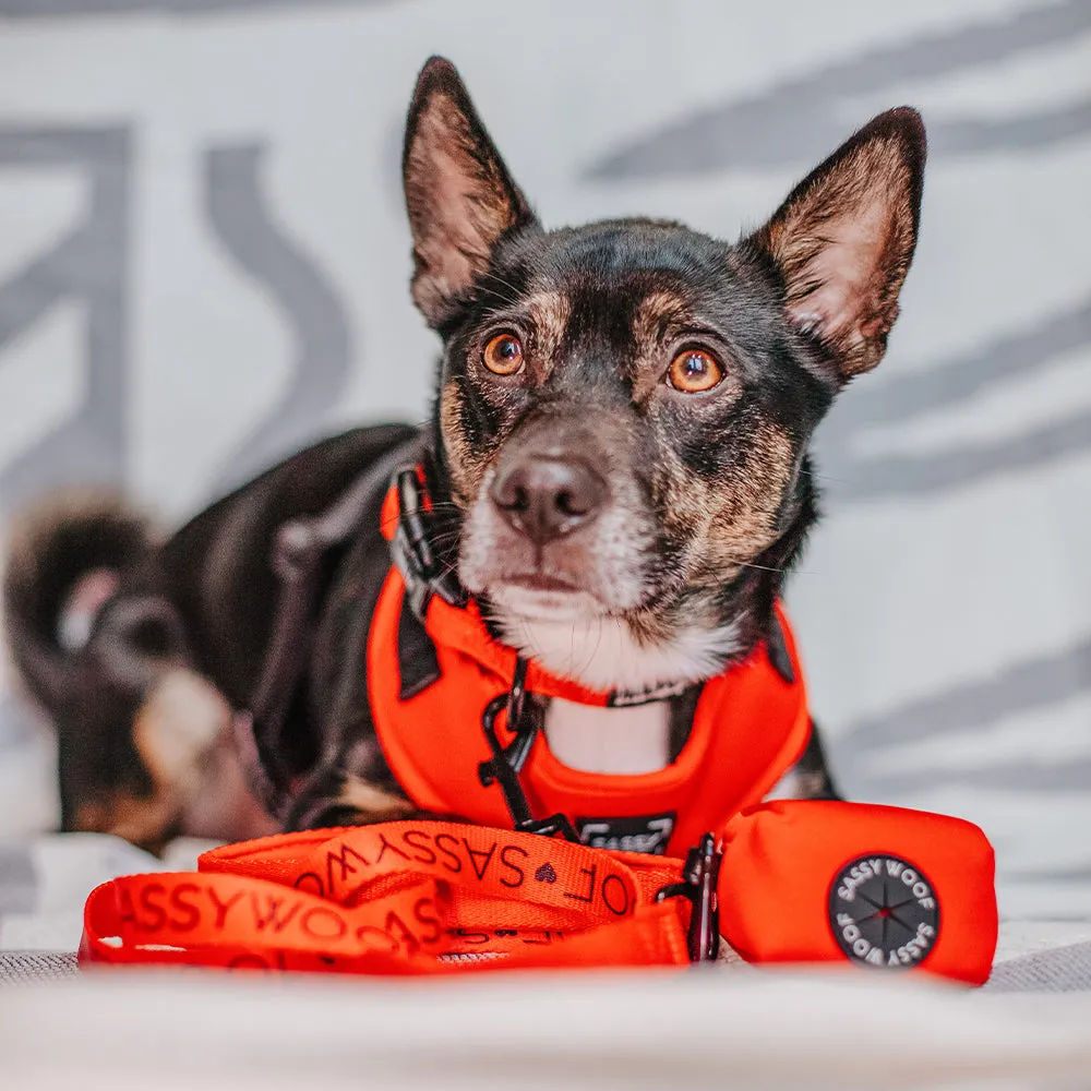 Dog Waste Bag Holder - Neon Red