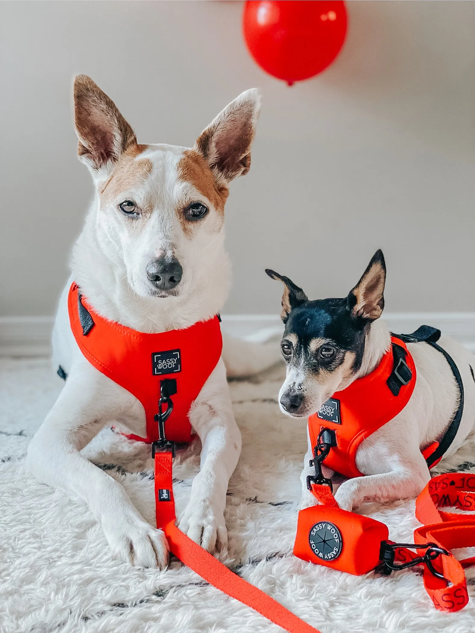 Dog Waste Bag Holder - Neon Red