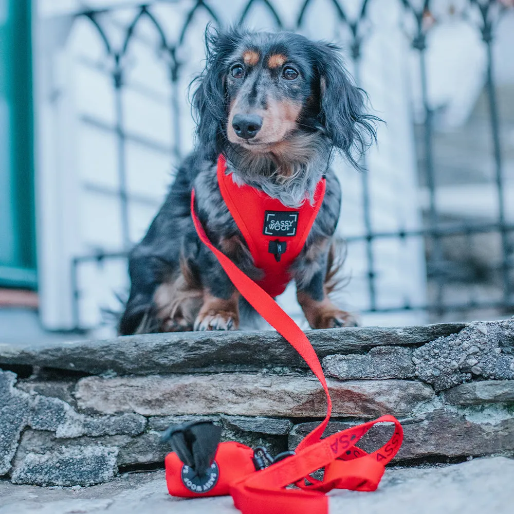 Dog Waste Bag Holder - Neon Red