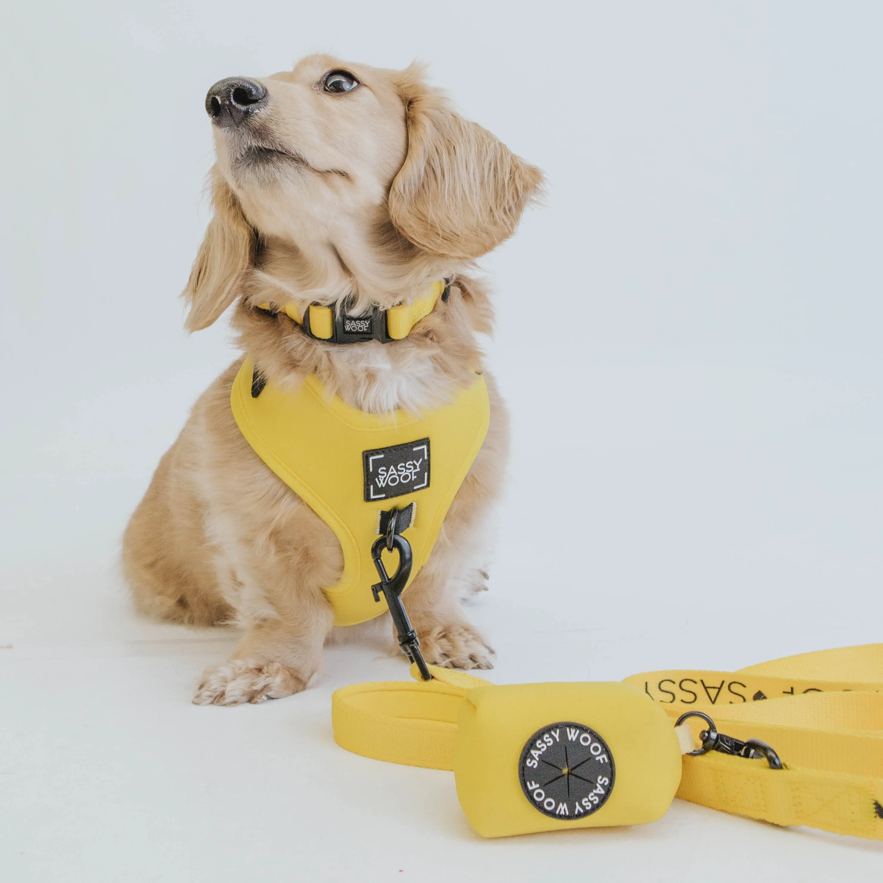 Dog Waste Bag Holder - Neon Yellow