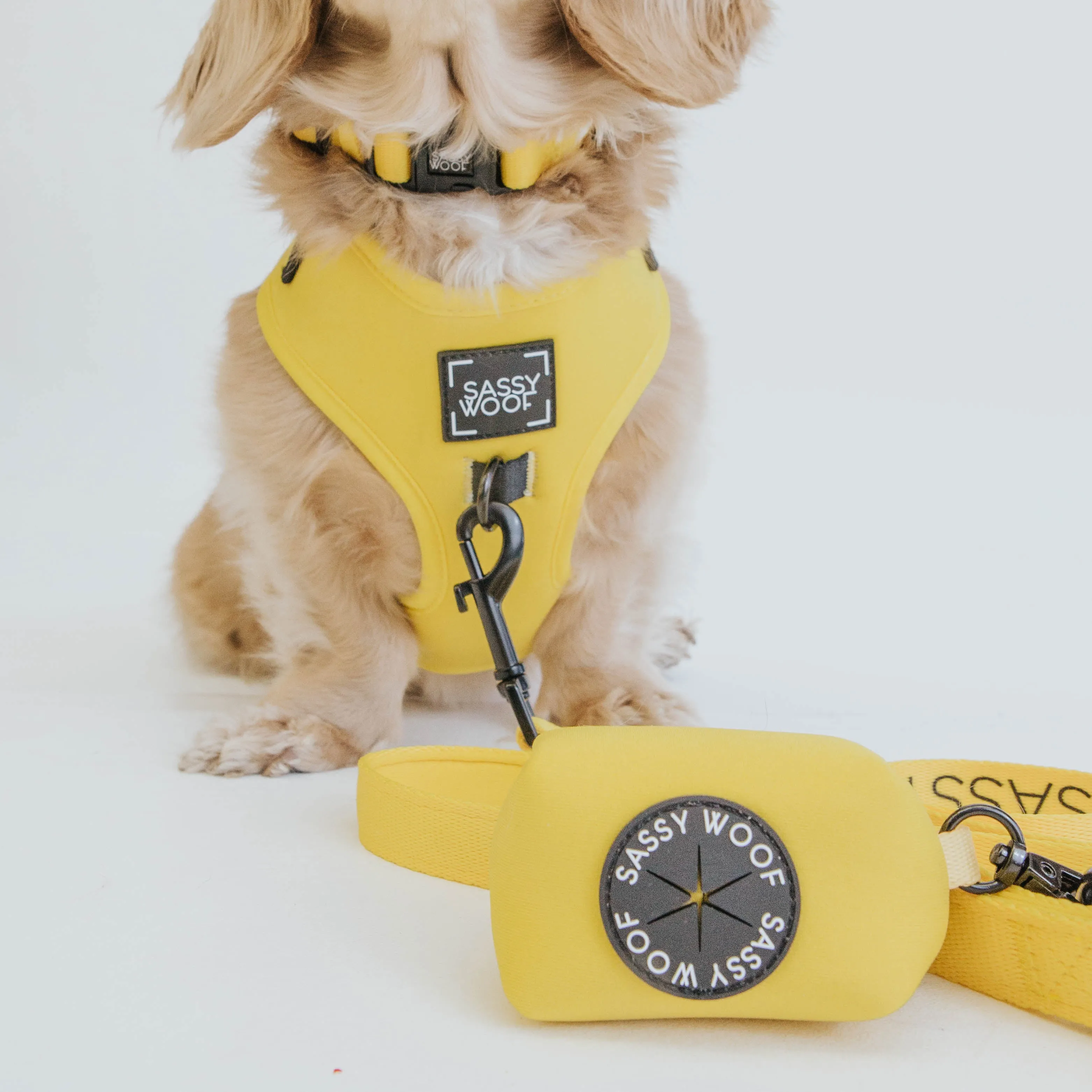 Dog Waste Bag Holder - Neon Yellow