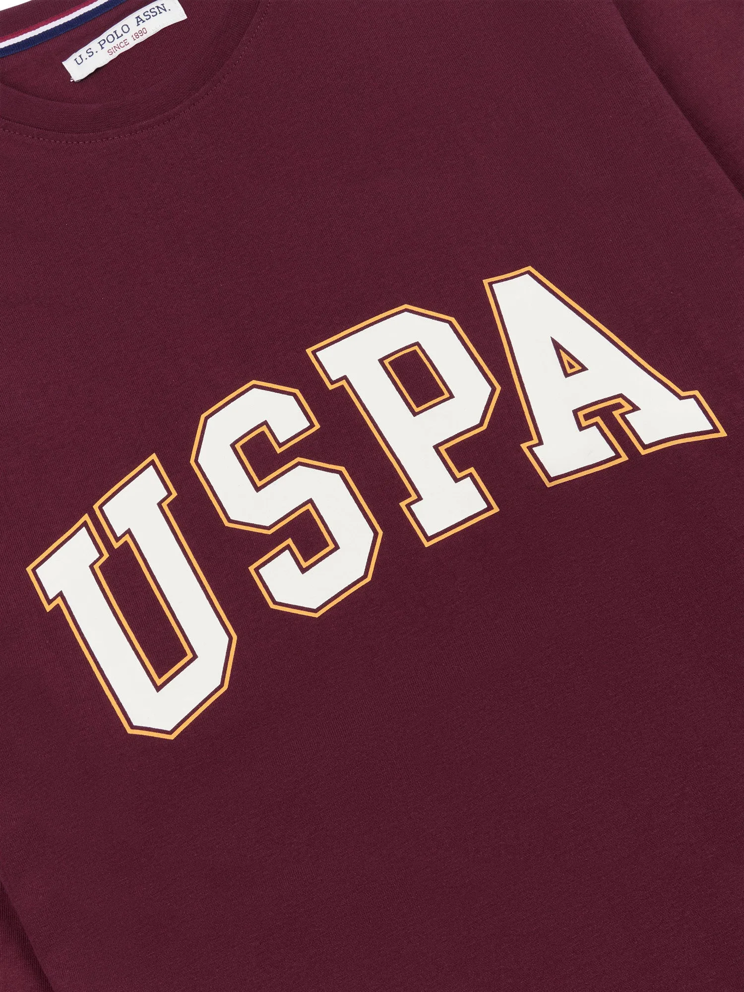 Men Arch Graphic Long Sleeve T-Shirt in Windsor Wine