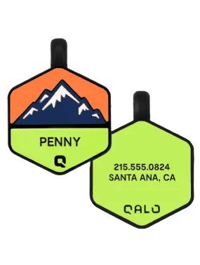 Neon Mountain Silicone Dog ID Tag