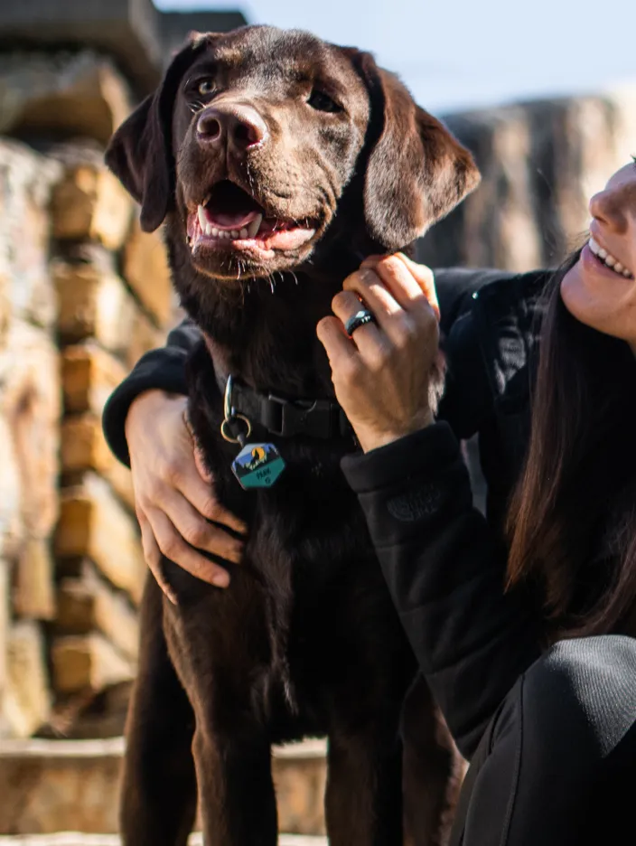 Neon Mountain Silicone Dog ID Tag