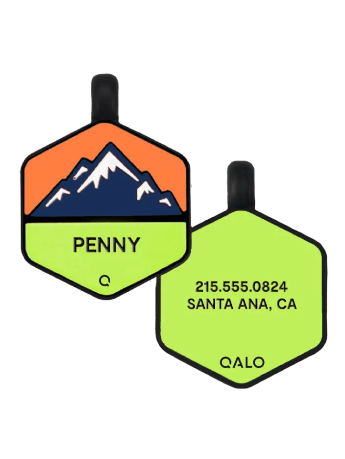 Neon Mountain Silicone Dog ID Tag