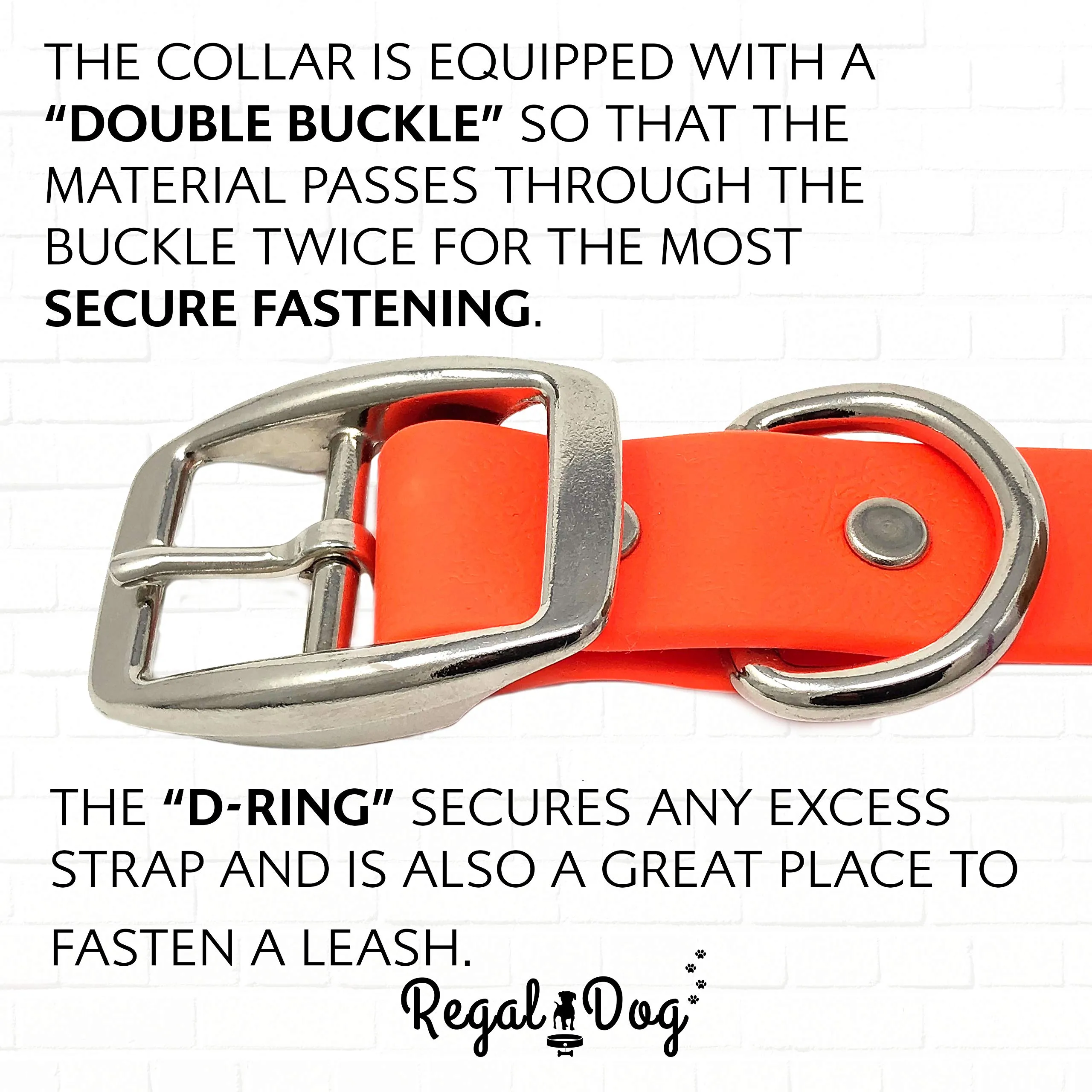 Orange Dog Collar - Standard - Waterproof