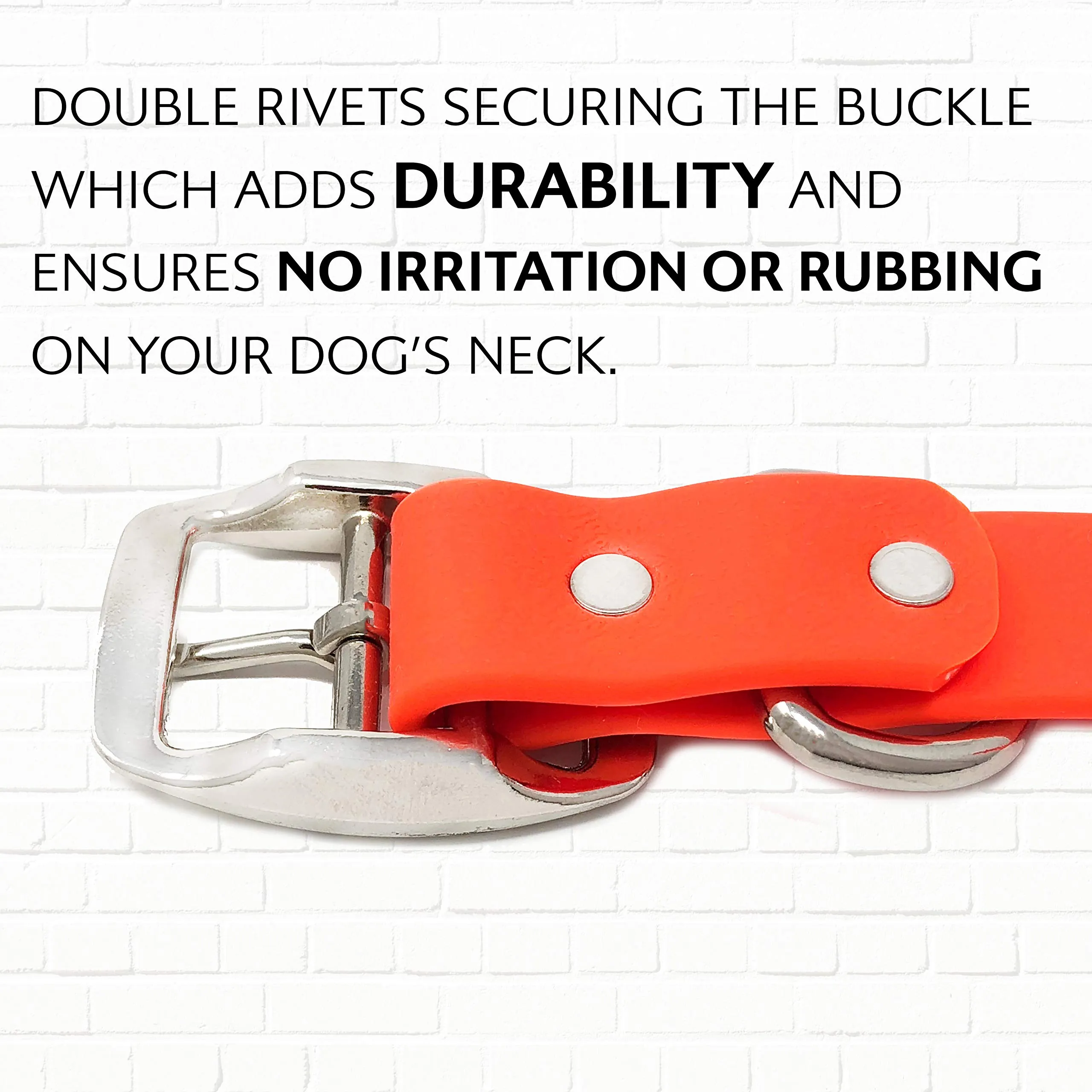 Orange Dog Collar - Standard - Waterproof