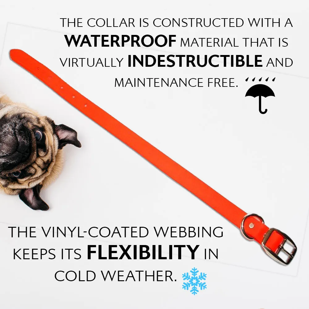 Orange Dog Collar - Standard - Waterproof