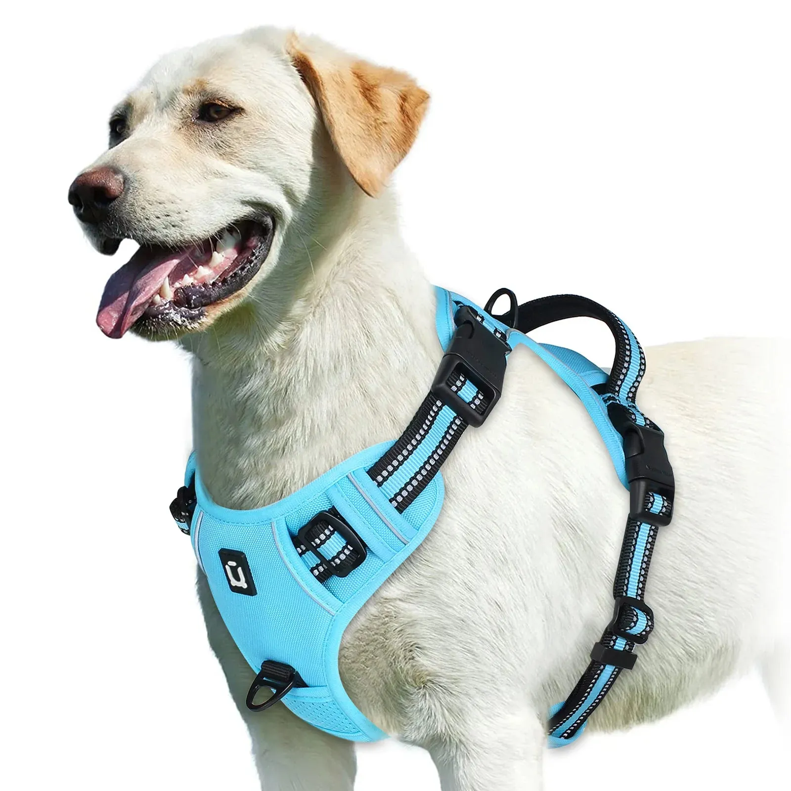 Soft Padded Harness 9 colors available