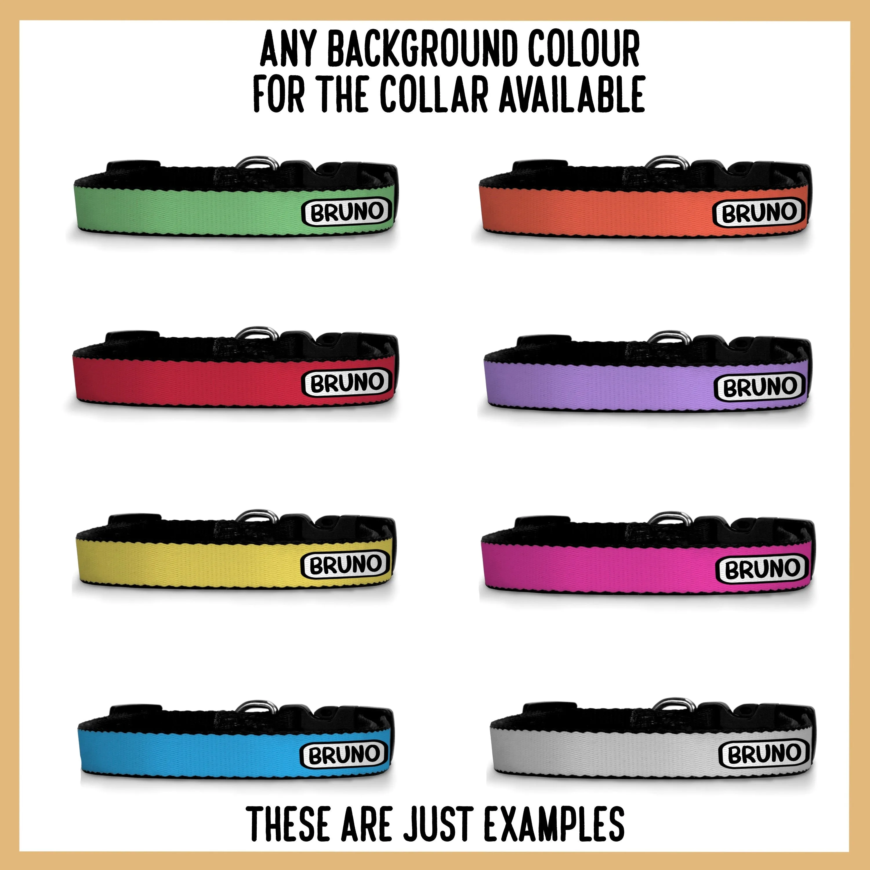 Springer Spaniel Collar