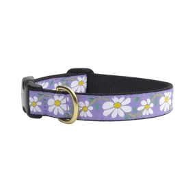 Up Country Daisy Dog Collar
