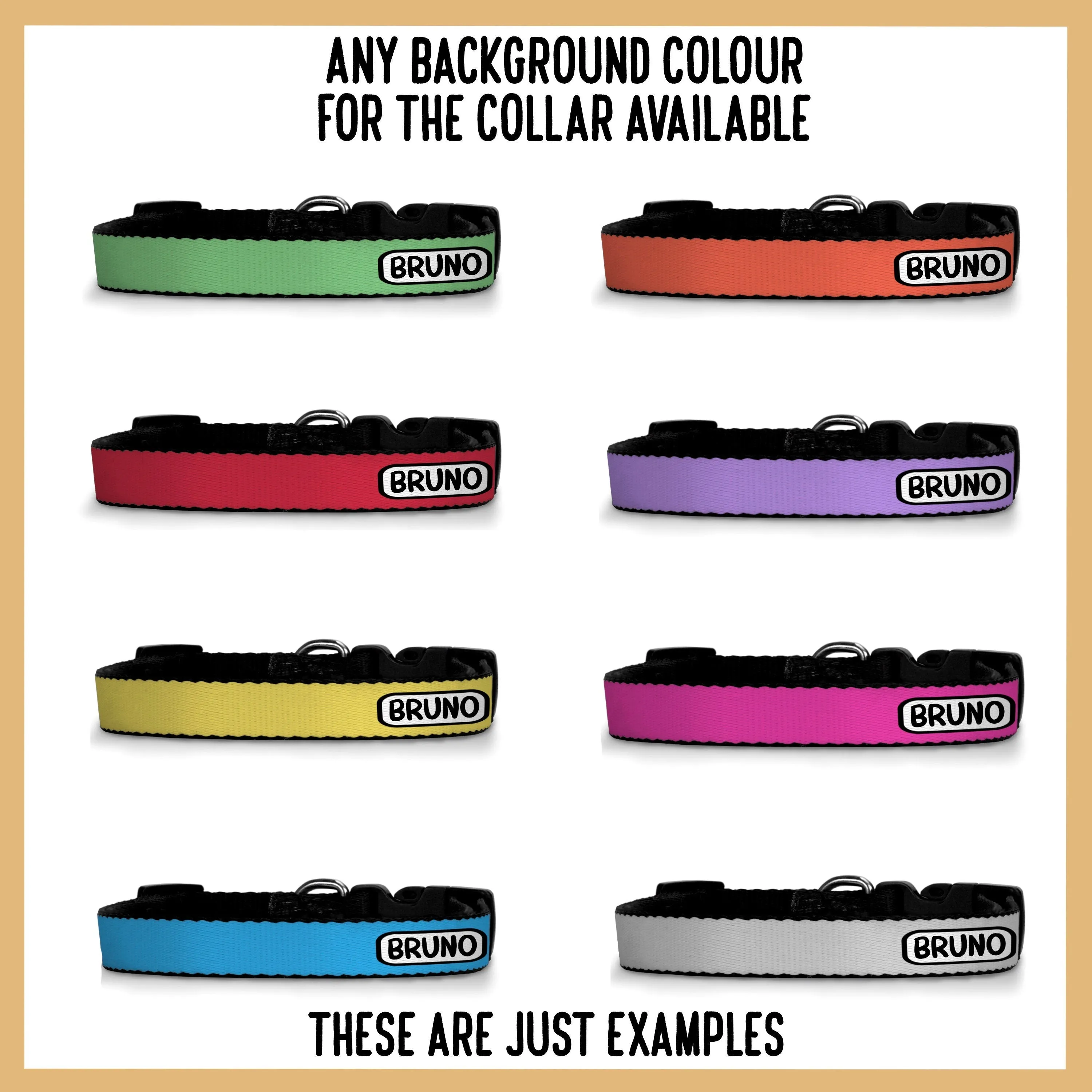 Working Cocker Spaniel Collar