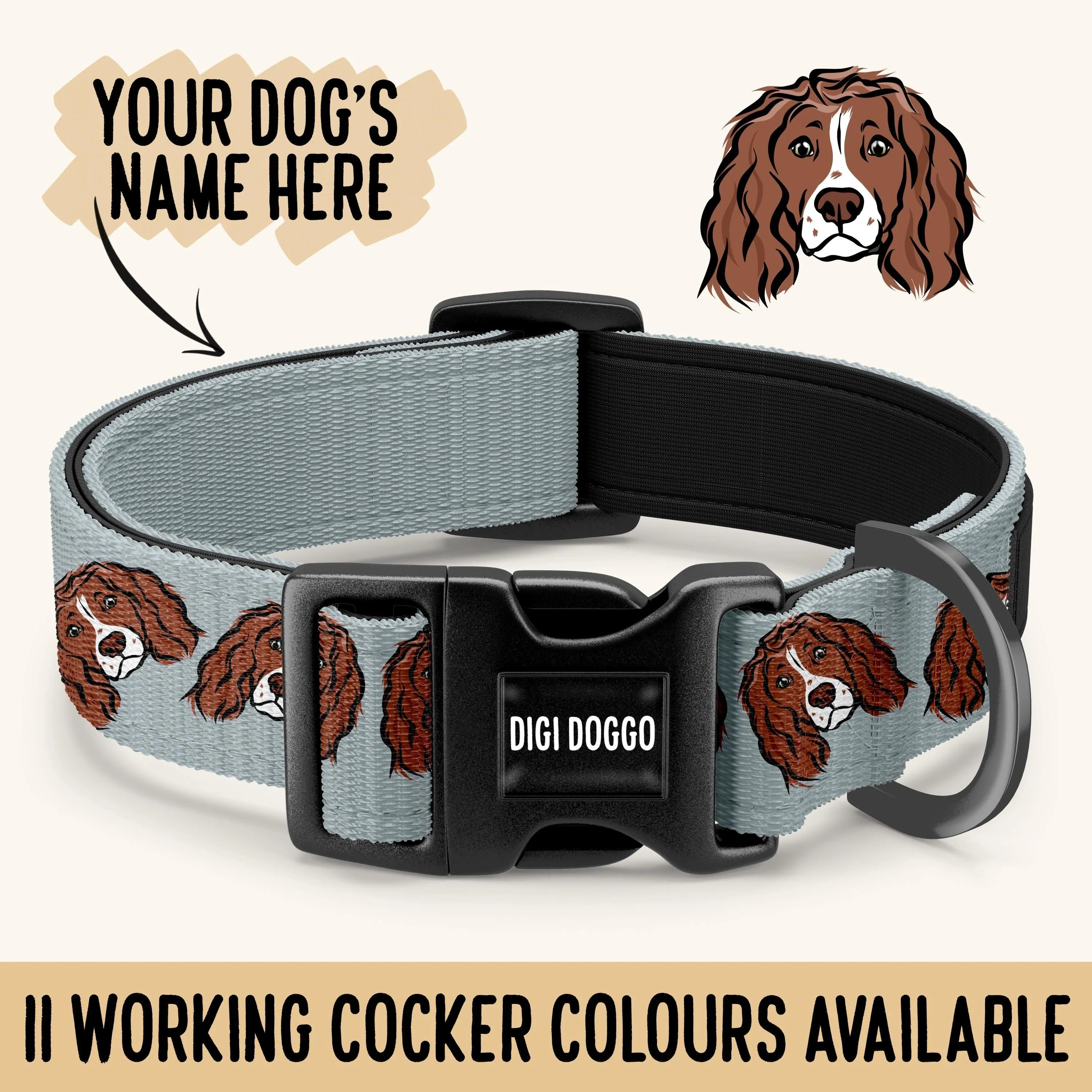 Working Cocker Spaniel Collar